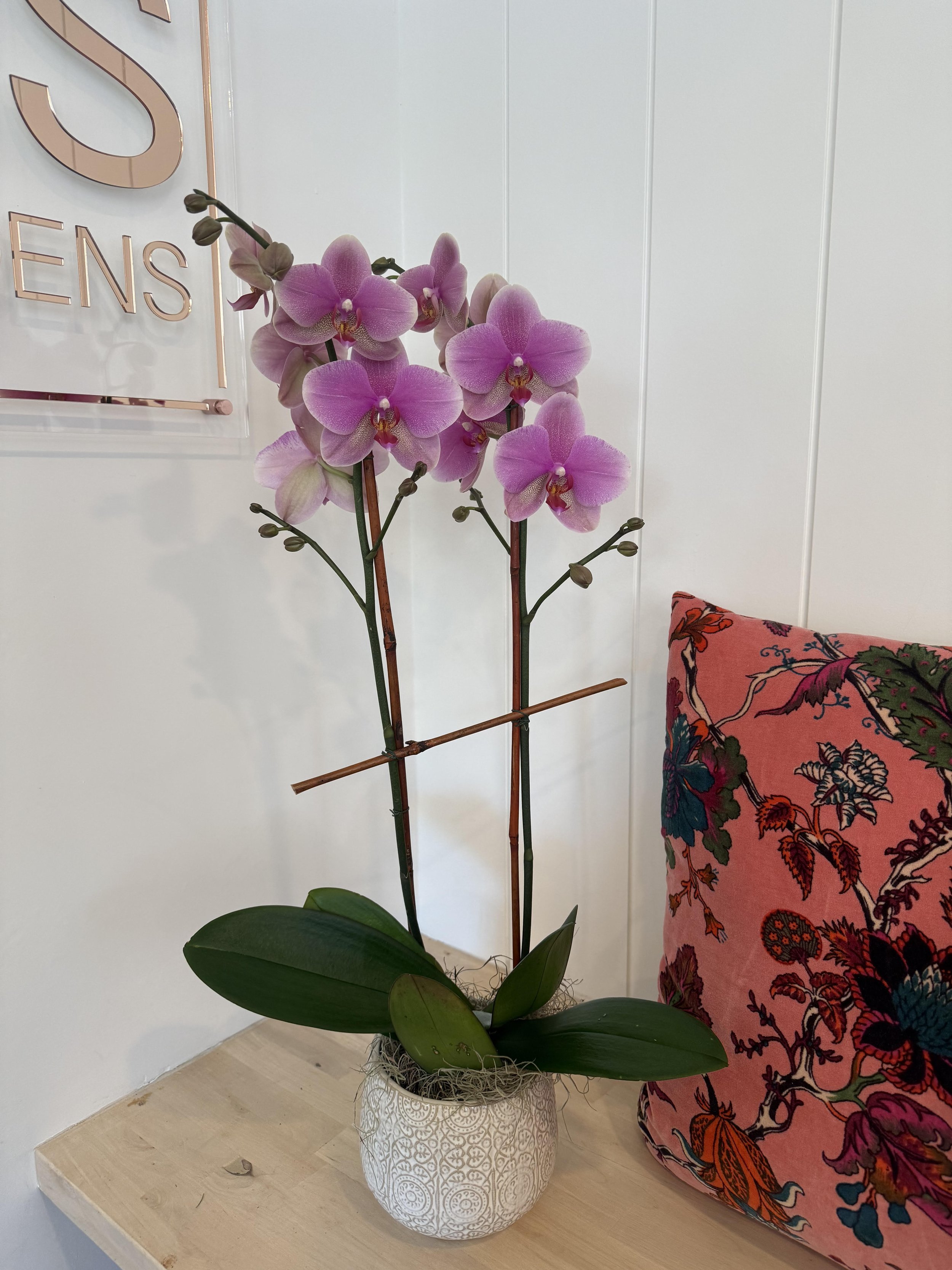 Why Businesses Trust a Dependable Florist in Burlington for Corporate Flowers