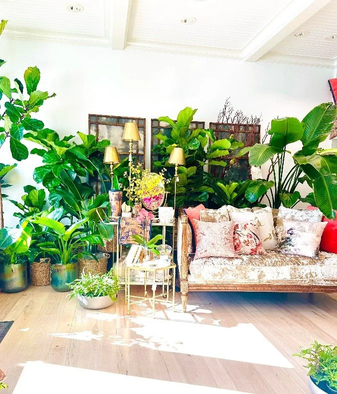 Natural Stress Relief: How Plants Can Soothe Anxiety