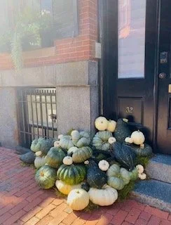 Enhance Your Fall Decor with Pumpkin Displays from Rouvalis Flowers and Gardens