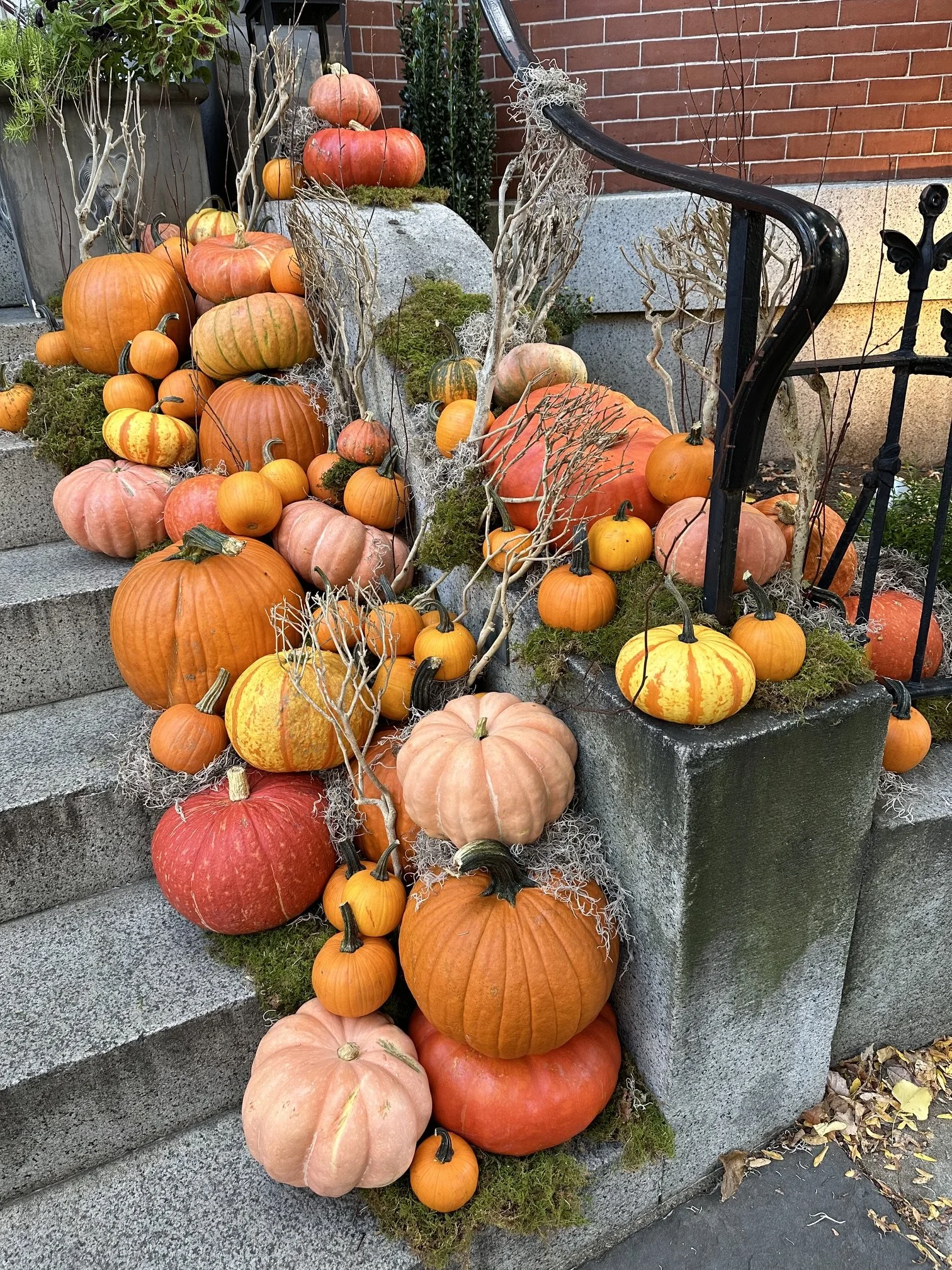IMG_1972.jpeg