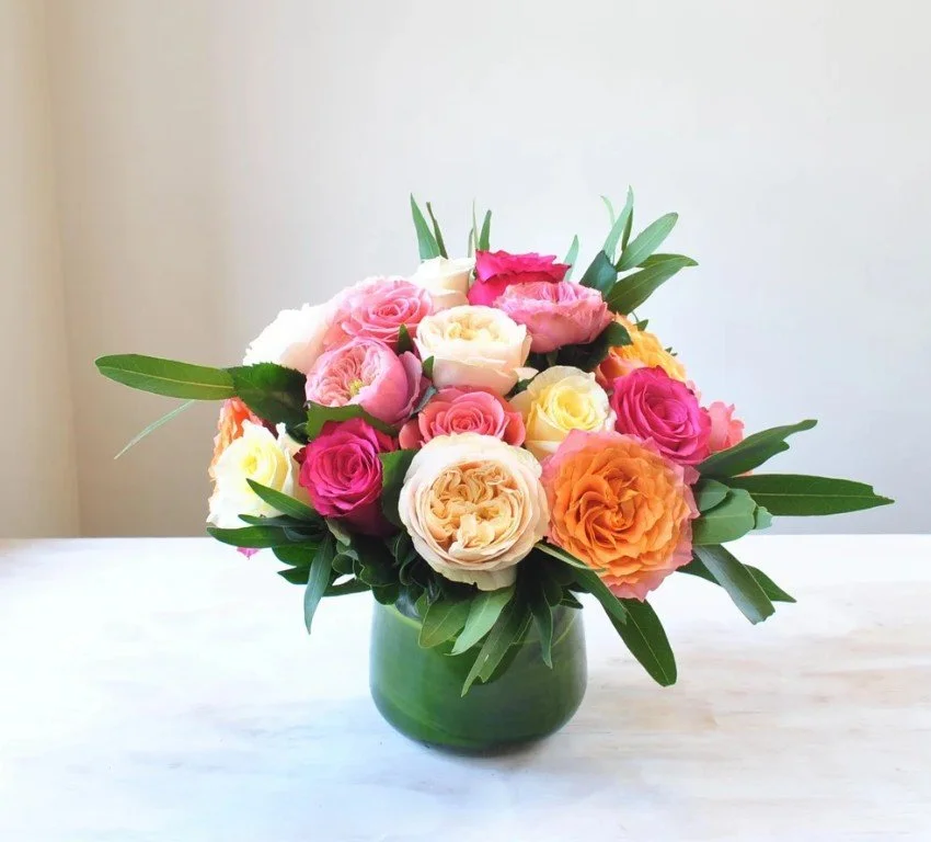 Summer Roses