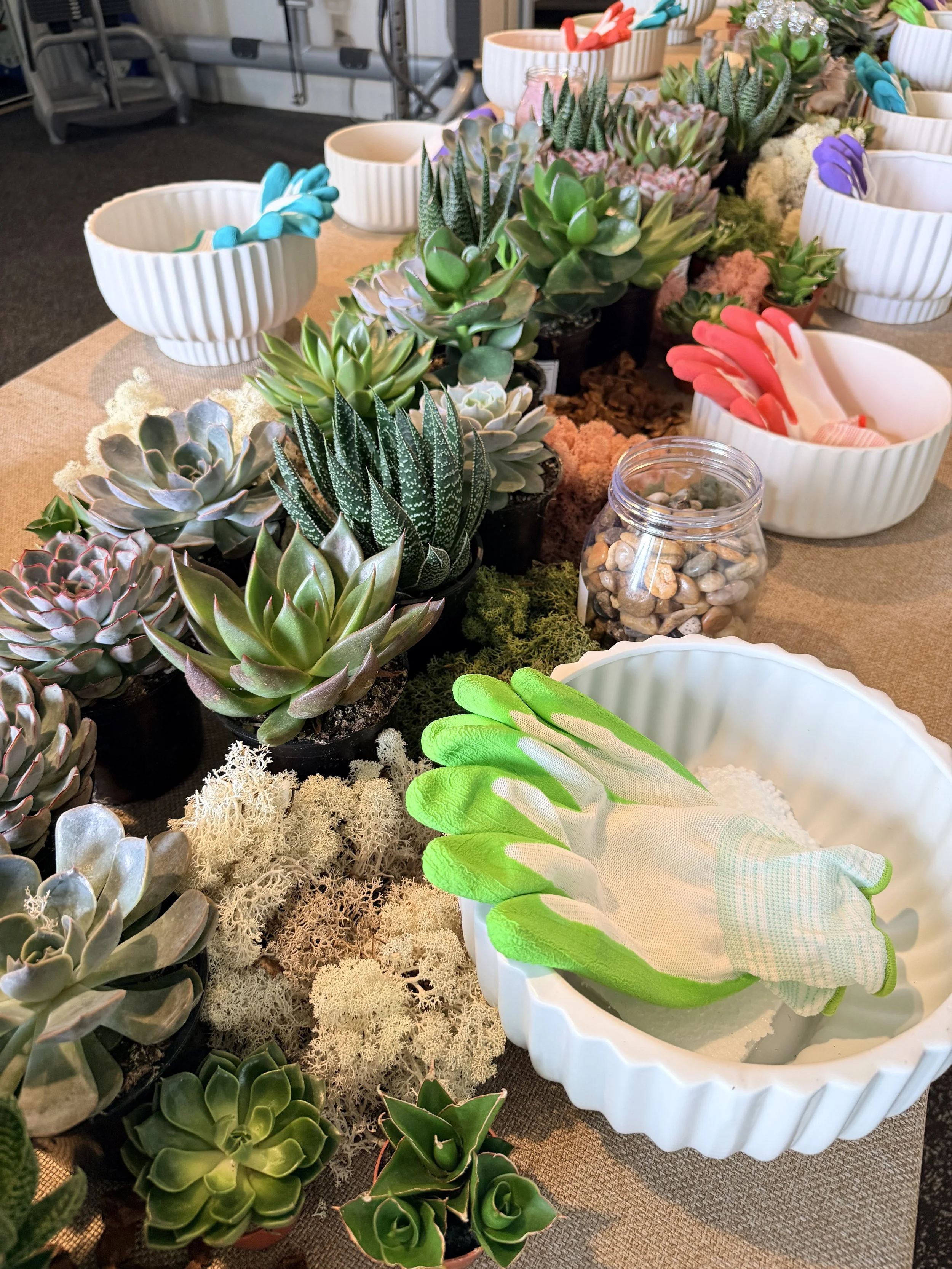 Learn to make your own planter with the Rouvalis team!
