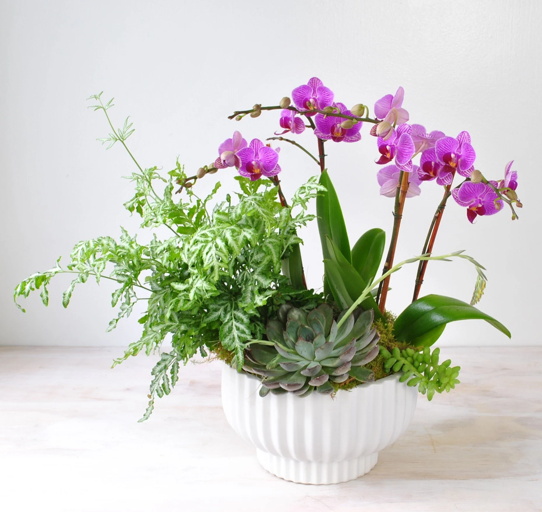 Make Way for Ducklings