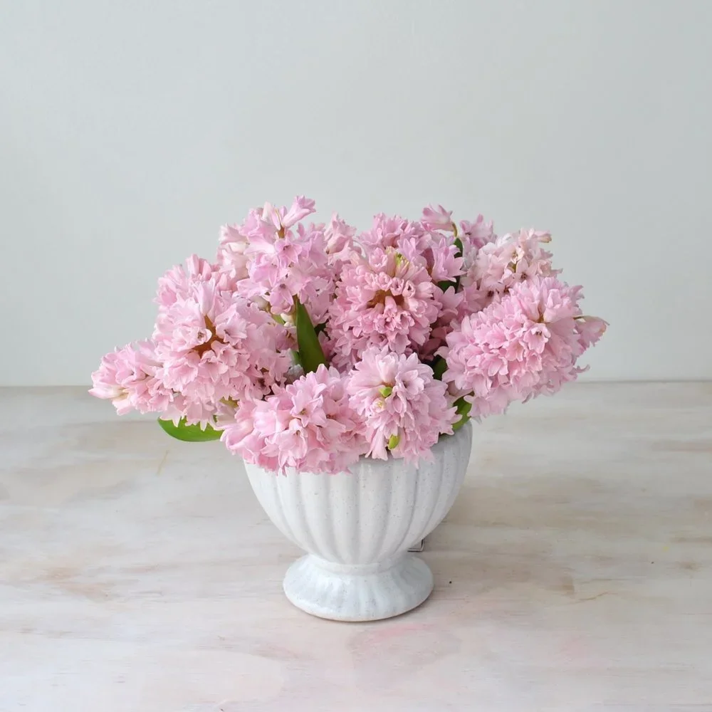 Pink Hyacinth Bowl