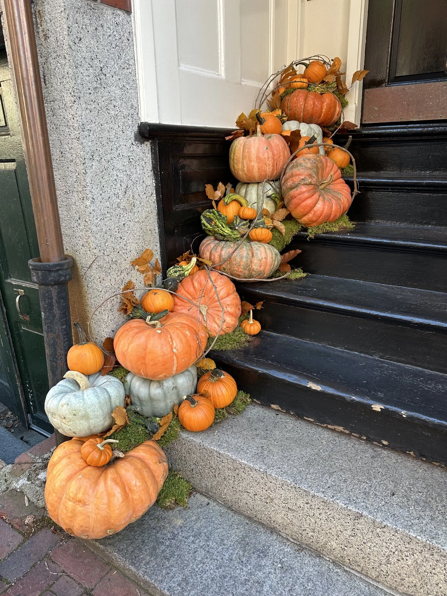 IMG_0066.jpeg