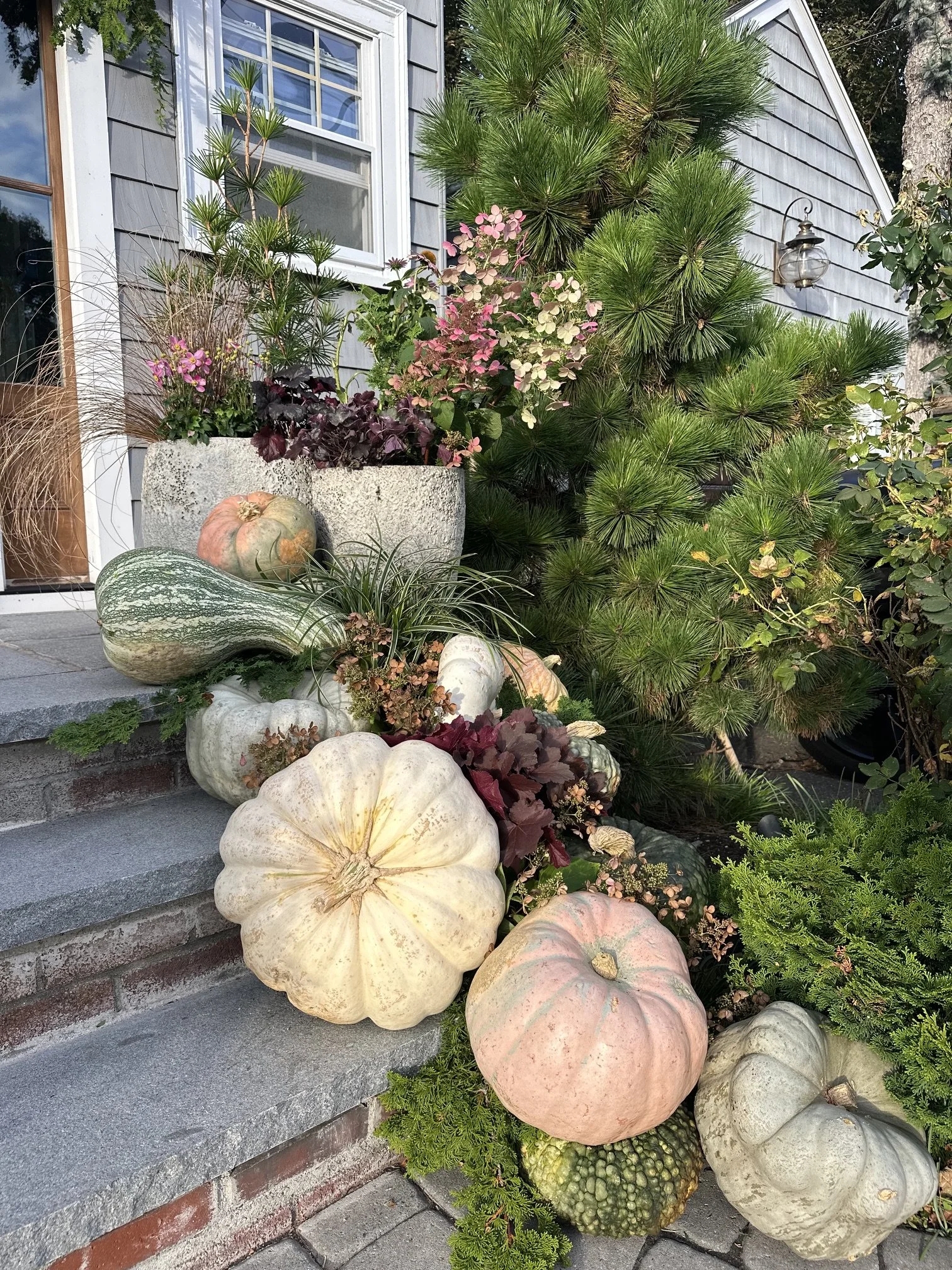 pumpkin patch styling in weston ma
