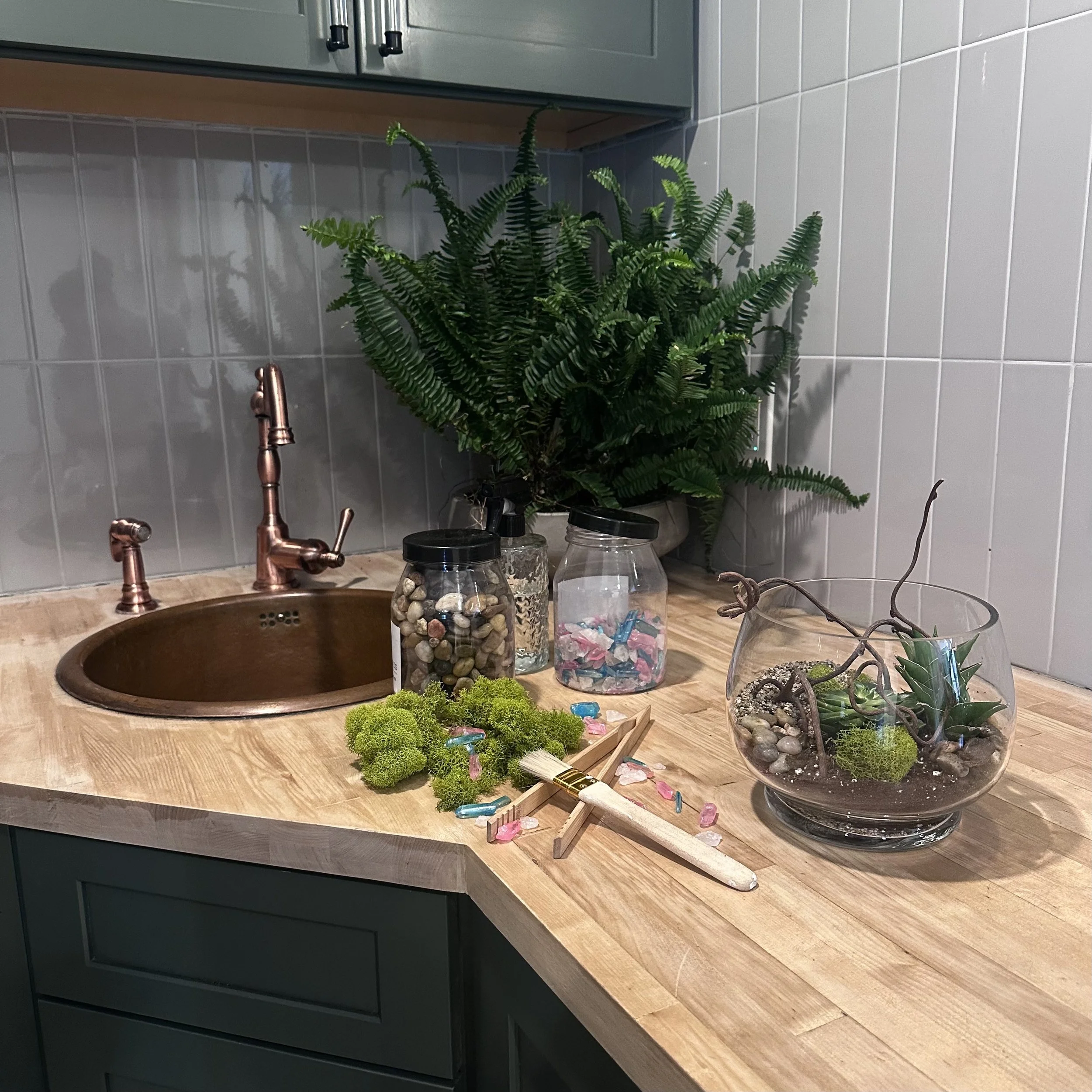 7/7 - Terrarium Workshop