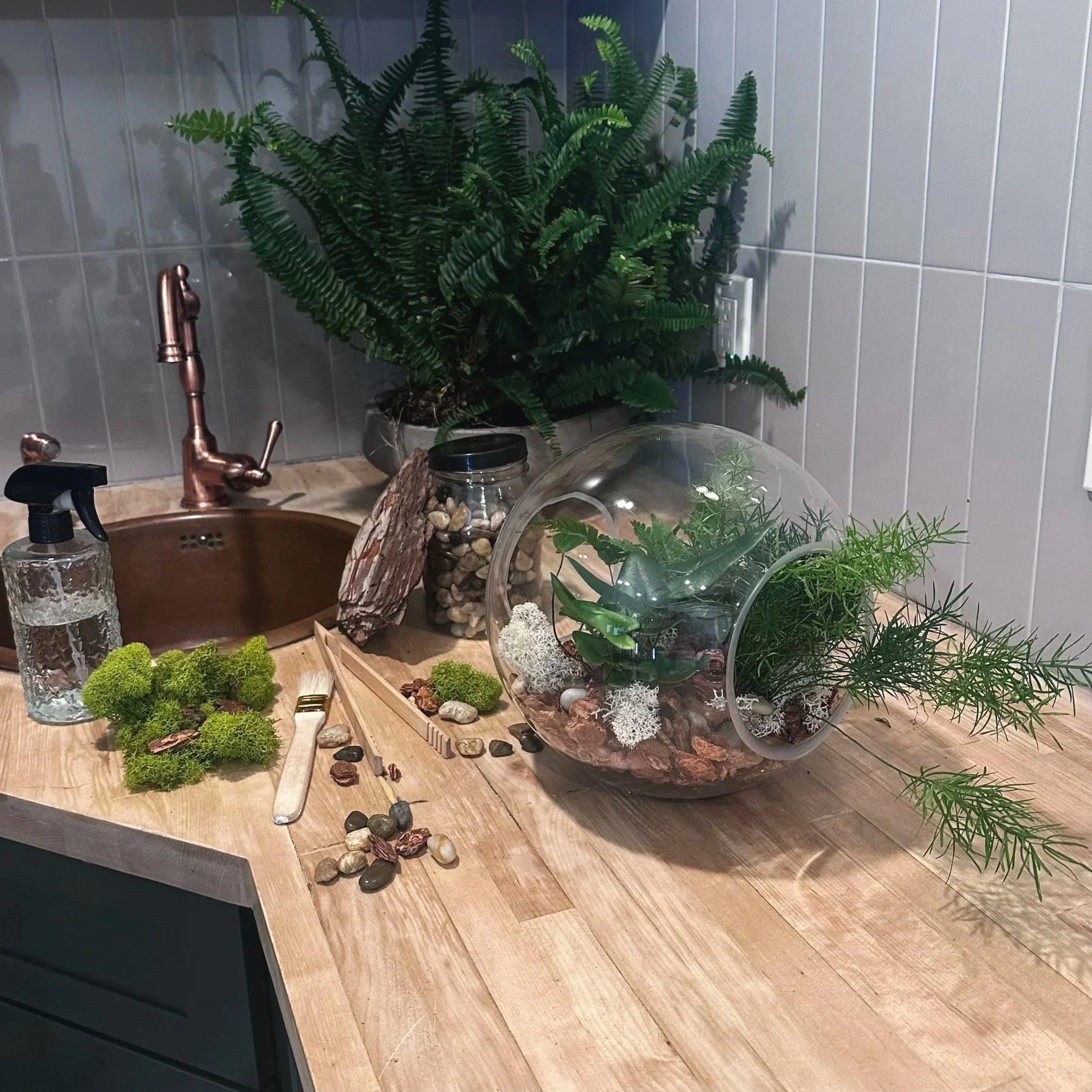 Fun terrarium classes available