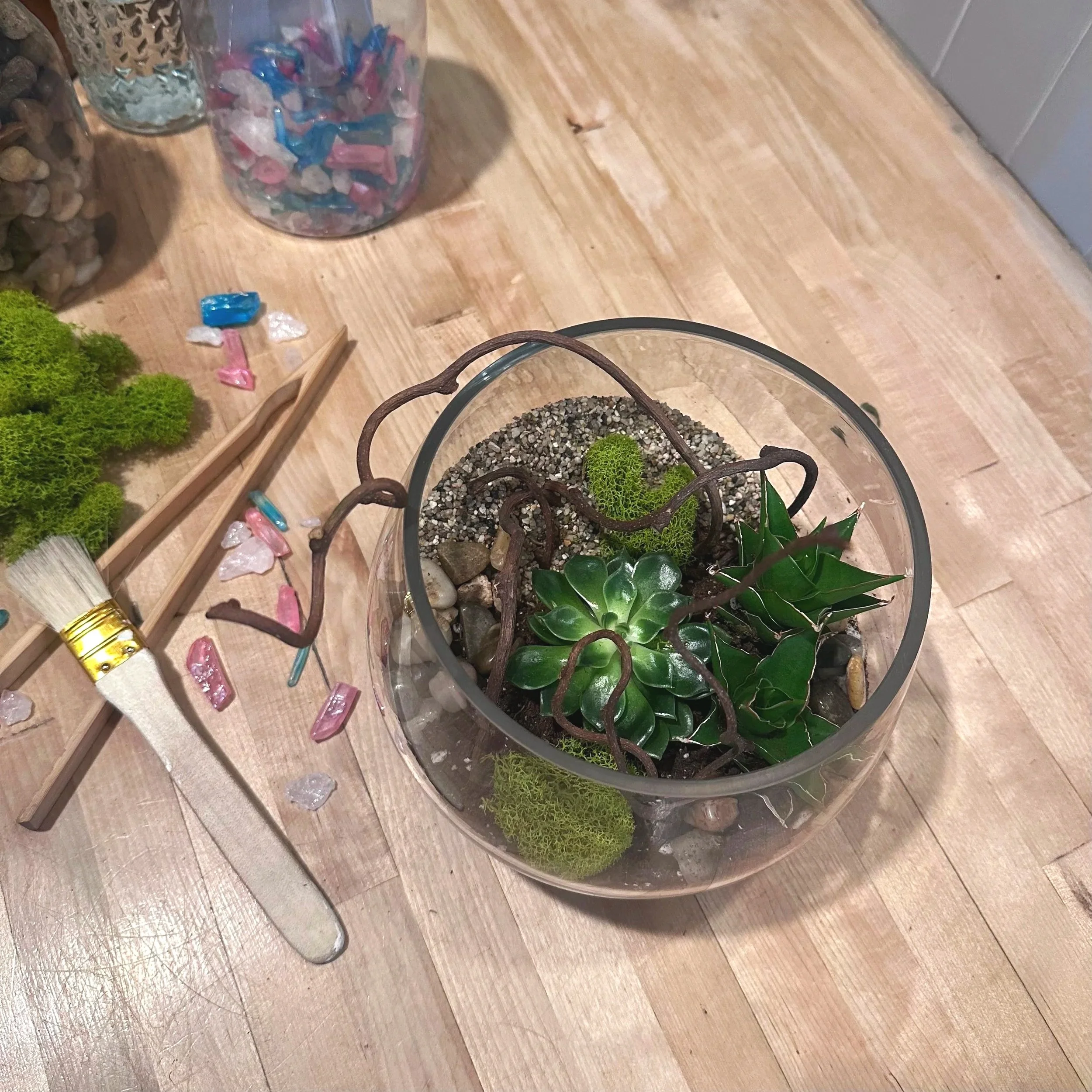 Terrarium workshop classes in studio Winchester