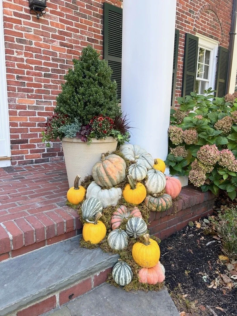 pumpkin fall porch displays in charlestown ma