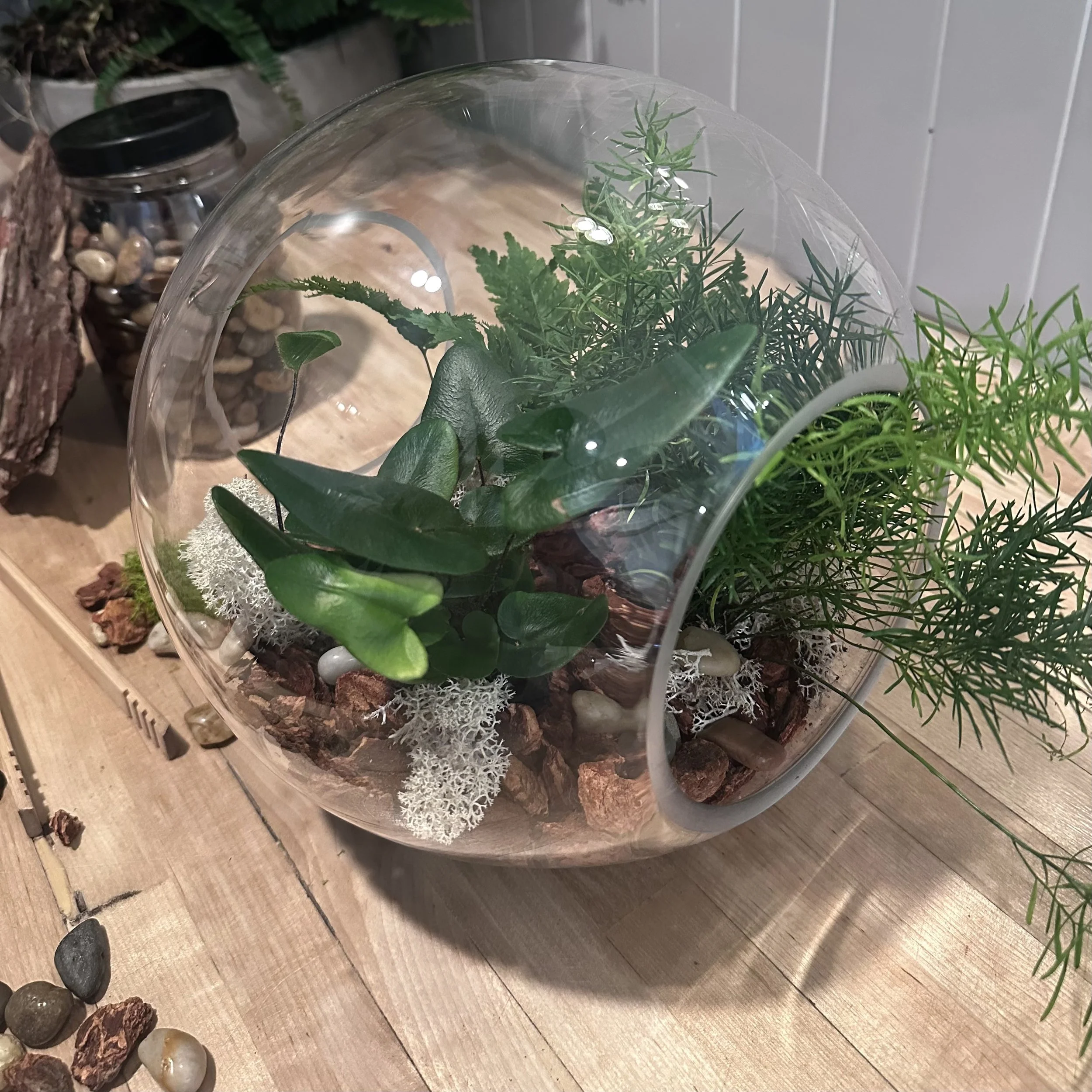 Take home your own terrarium workshops