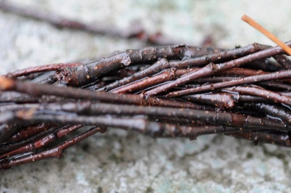 Close-up of a bundle of intertwined willow branches resting on a rough concrete surface.