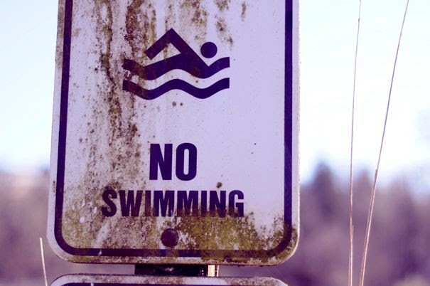 unnamed - 2026-04-05T001800.476.jpg