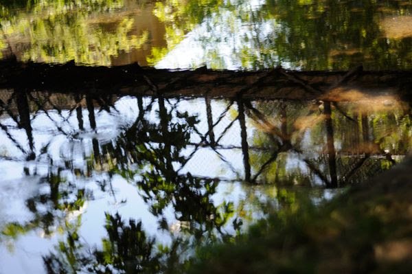 Get updates about Rooi Riley's newest book, Strong.