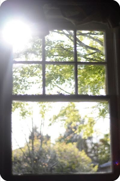 Learn about Rooi Riley's latest project. Storyboards and scripts for an eight episode series from Seen.