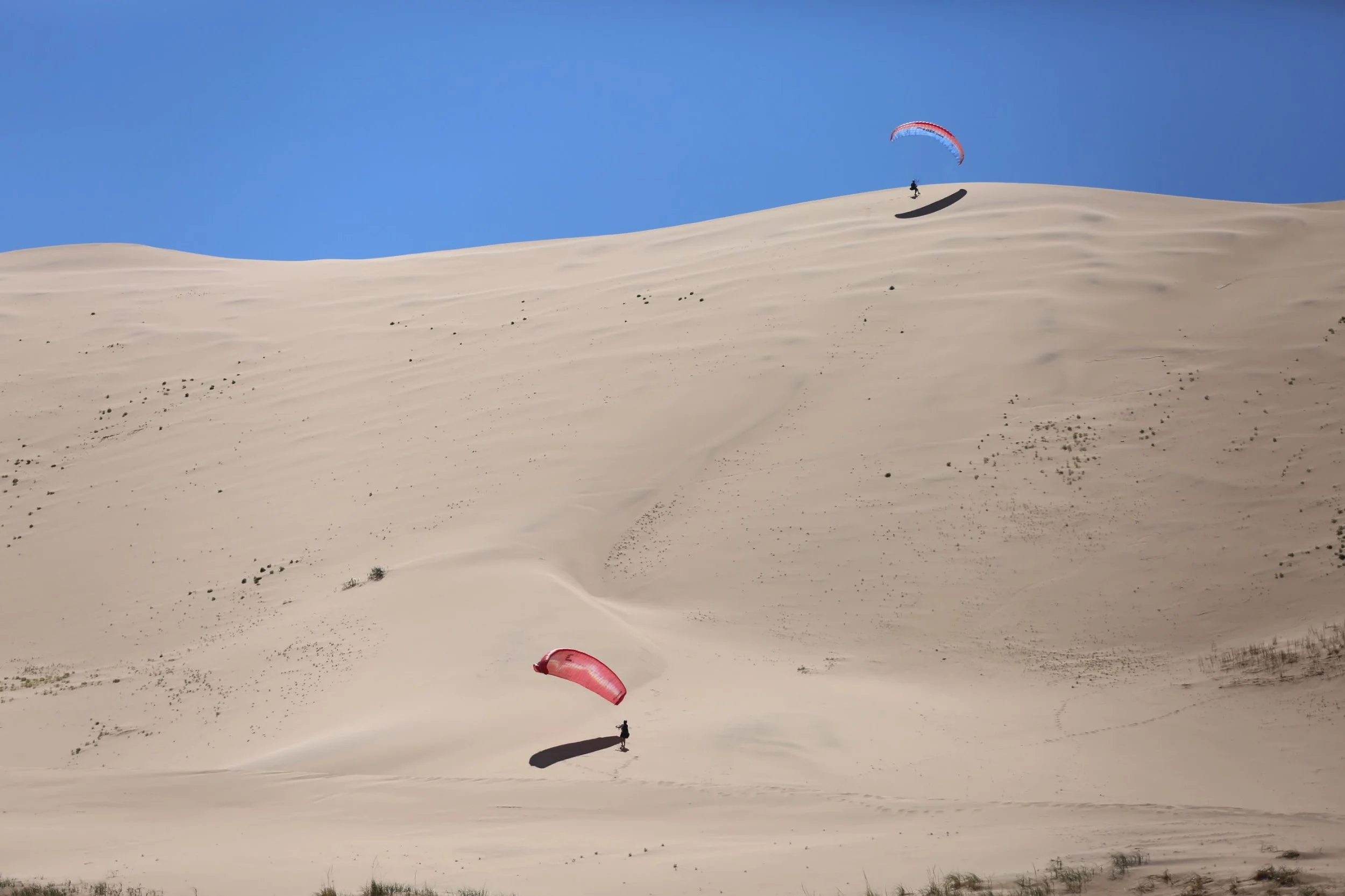 A person paragliding down a sandy desert dune under a clear blue sky.