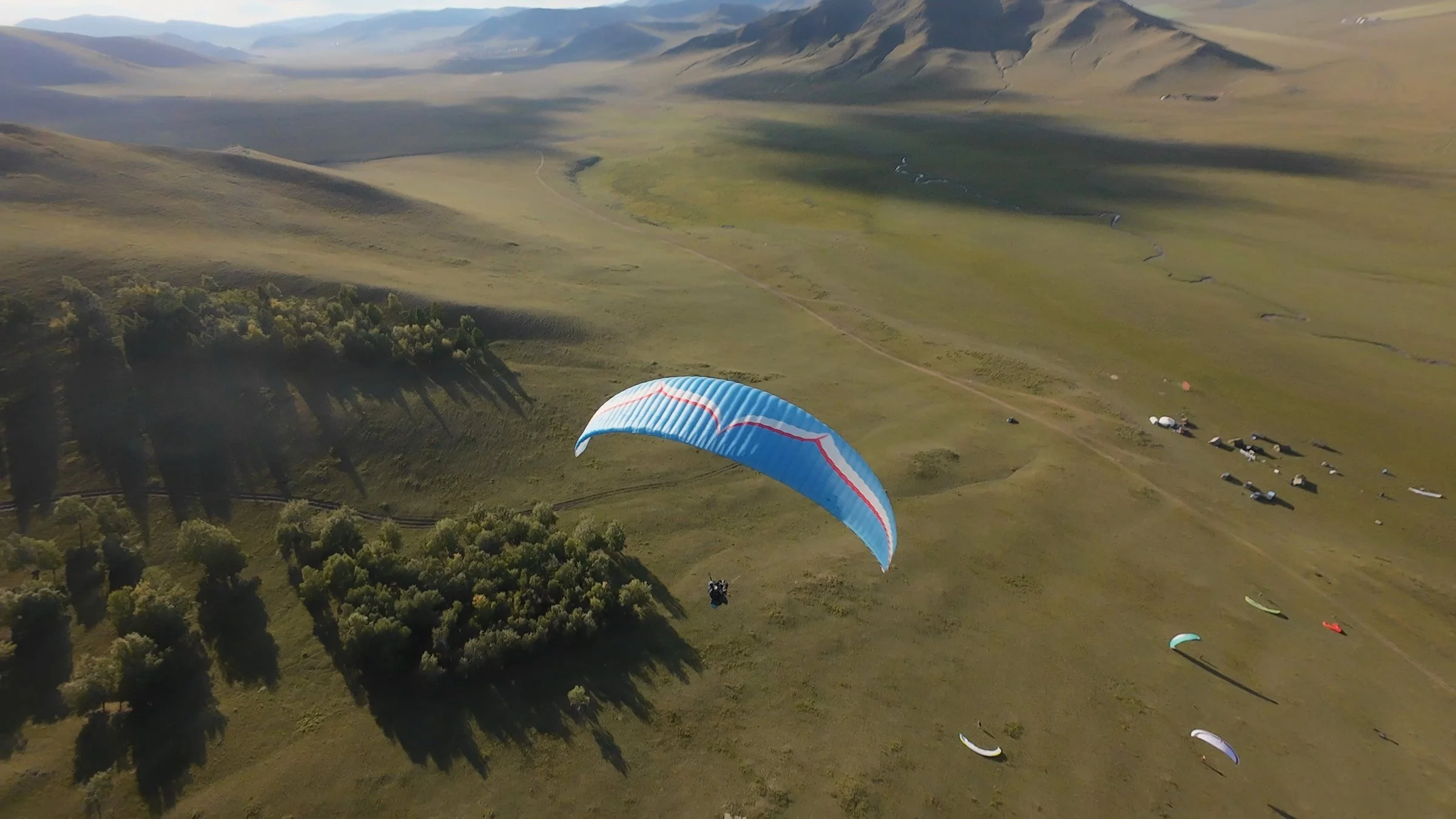 Paraglider with a blue wing soaring over green Mongolian steppe and larch forest