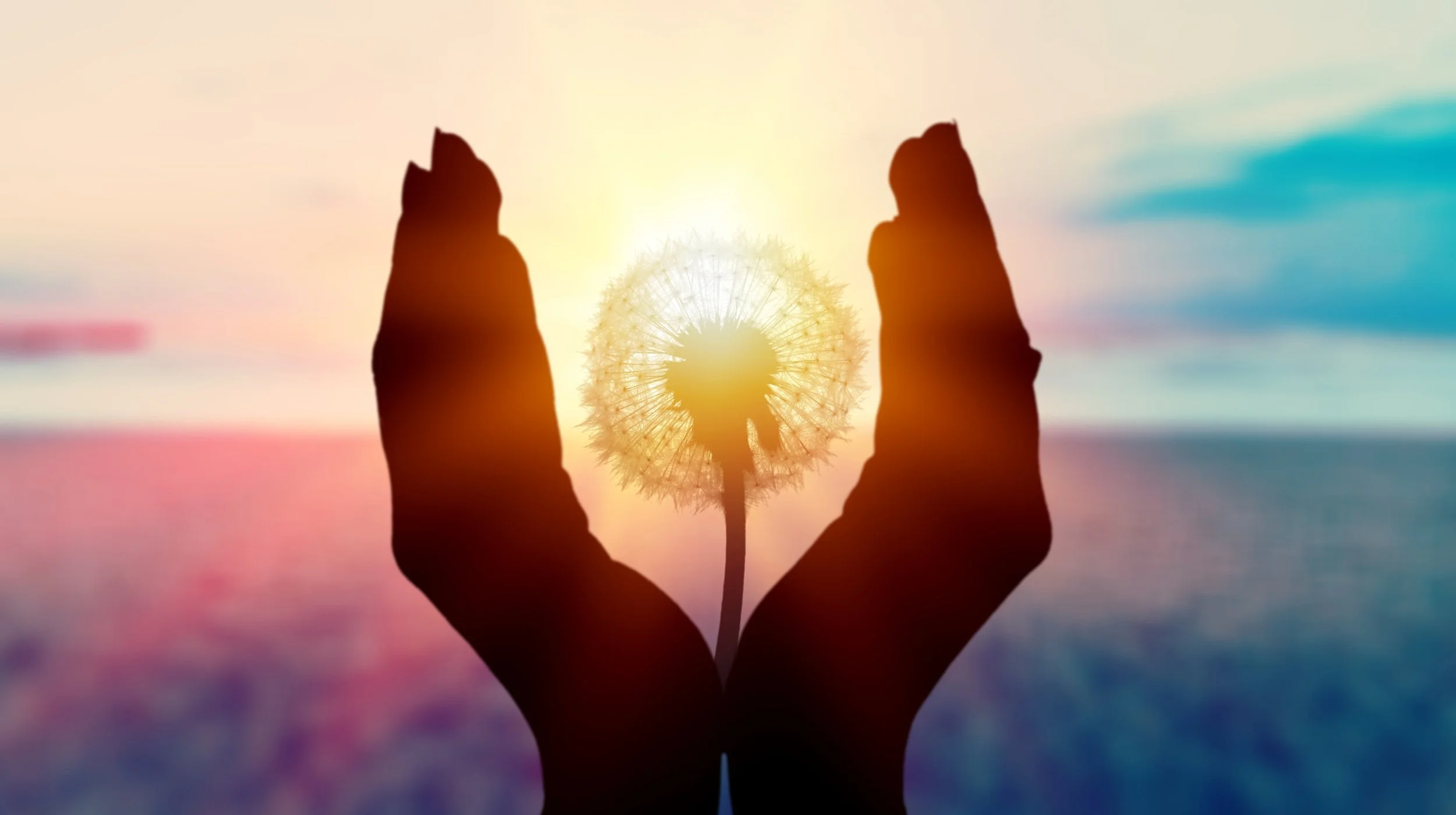 Transformational Coaching Journey