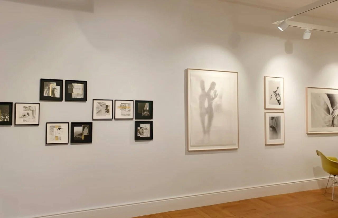 Bildhalle solo 2023 / overview