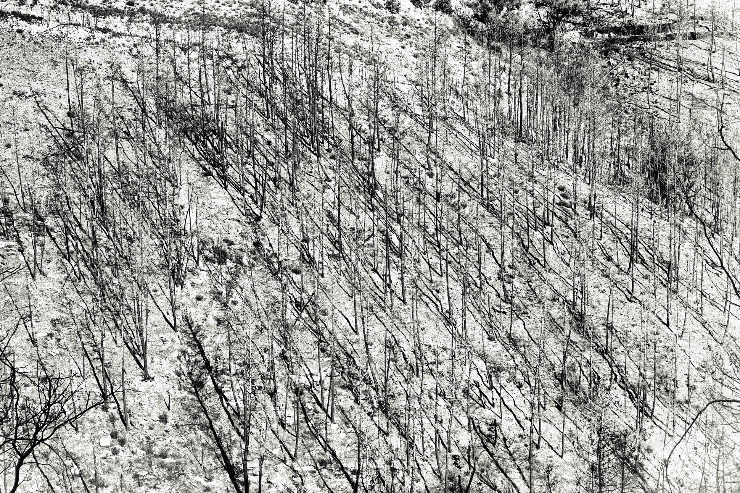 nature liq light 2021_4_BEWERKT.jpg