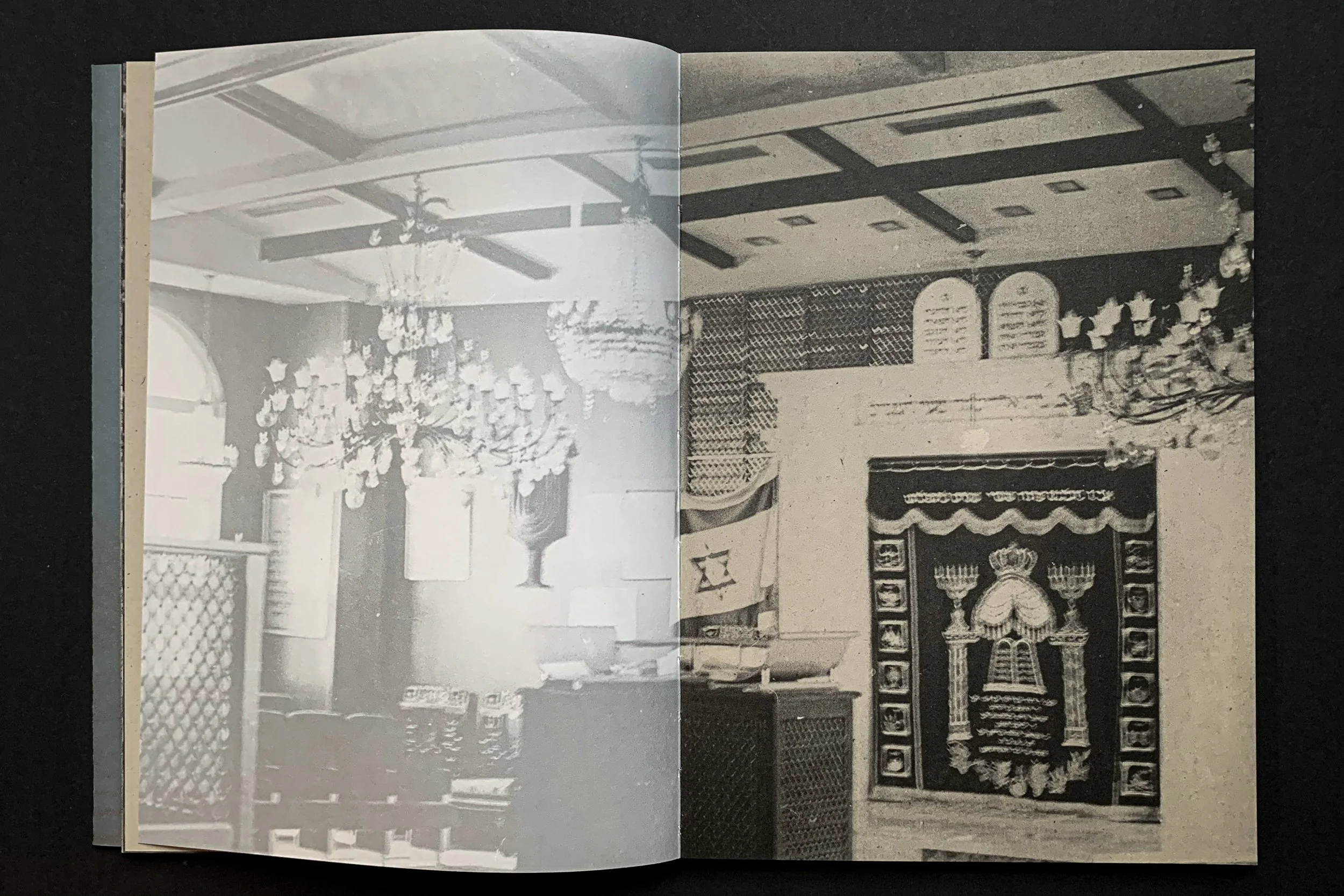 Kindness of One_026.jpg