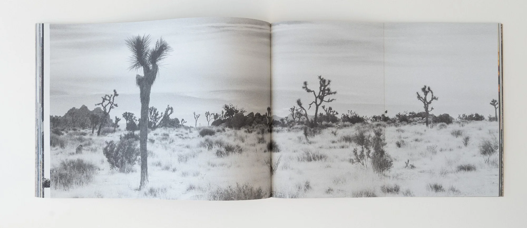 38_ML_BOOK FRICTION__2022.jpg