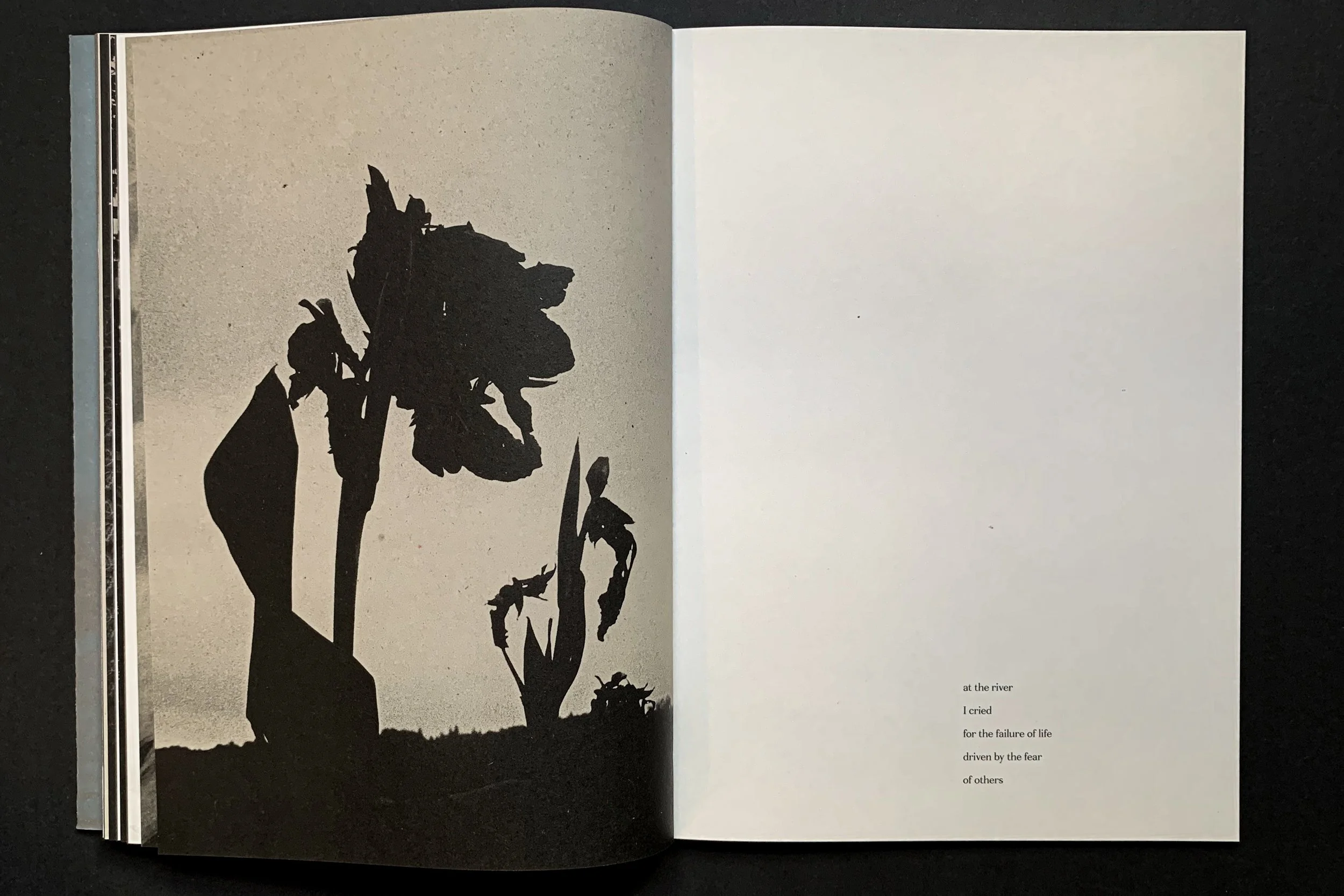 Kindness of One_049.jpg