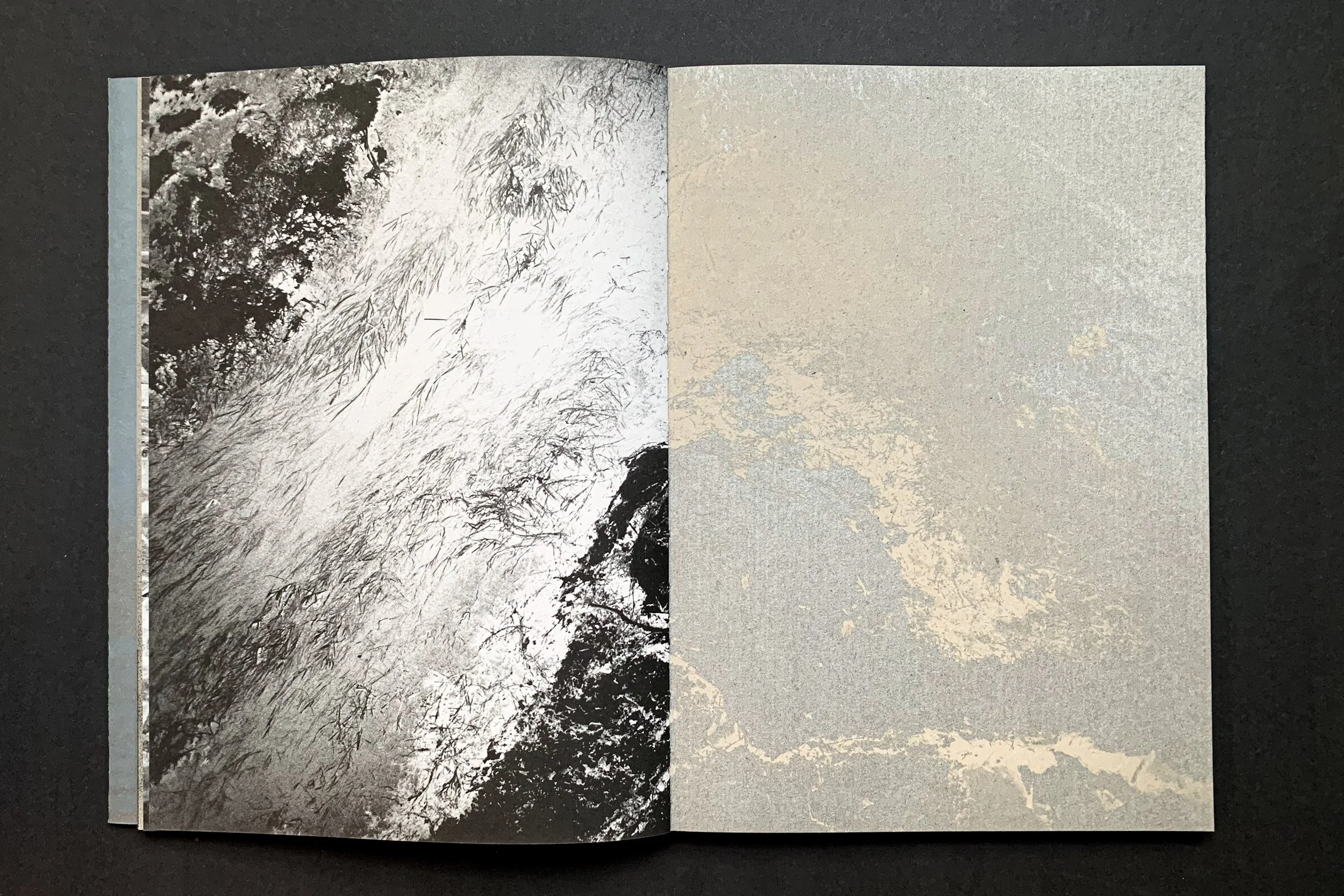 Kindness of One_024.jpg