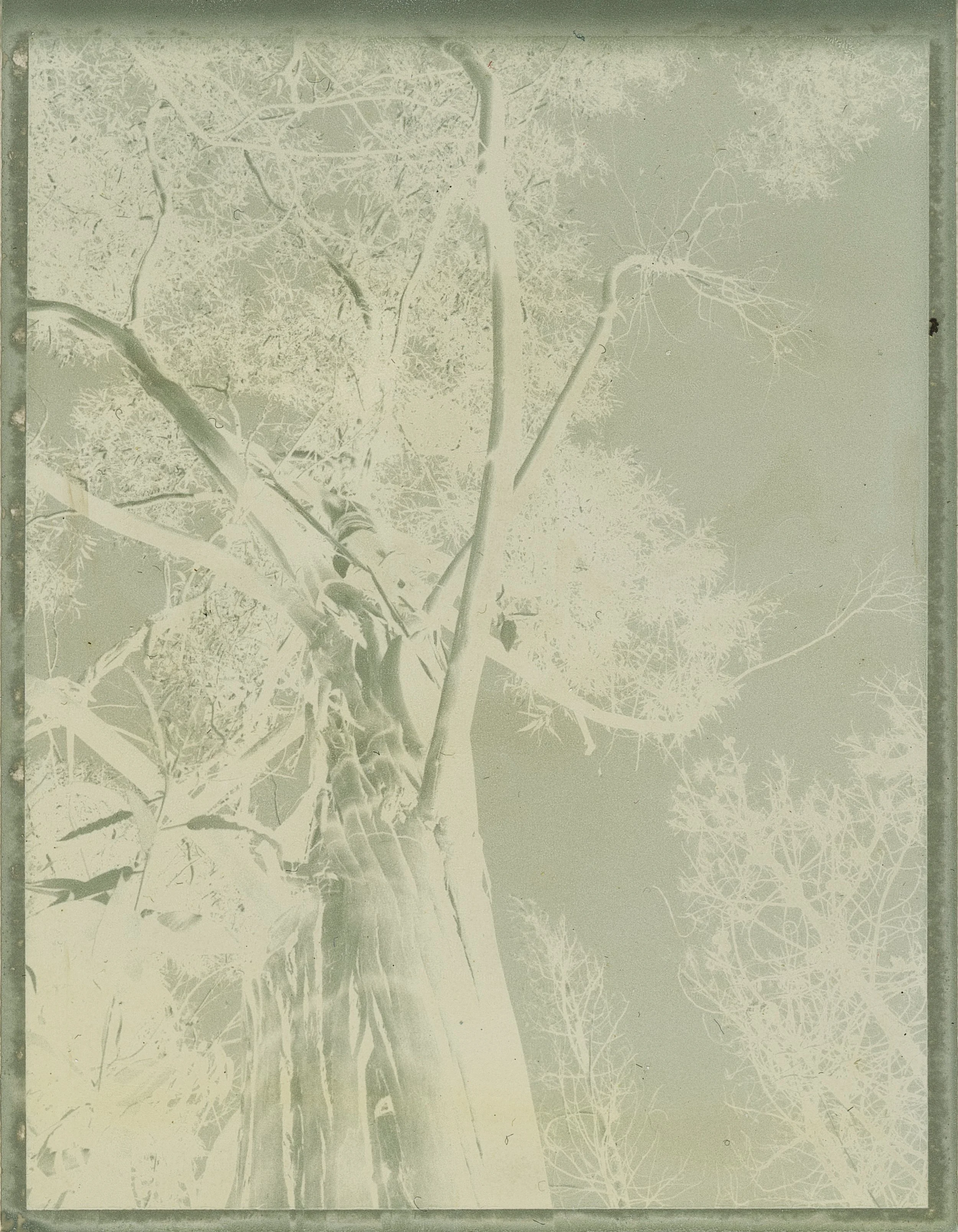 24_polaroid mother nature VII_ML.jpg