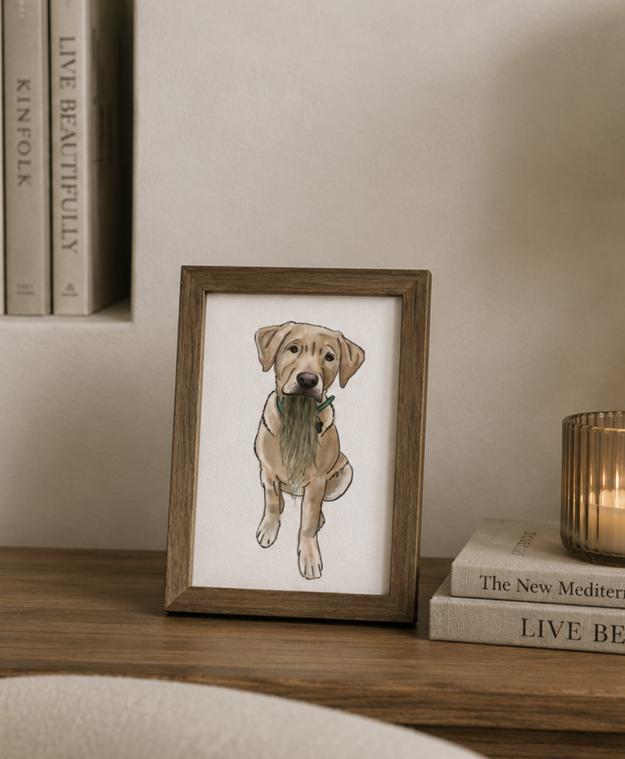 Pet Portrait