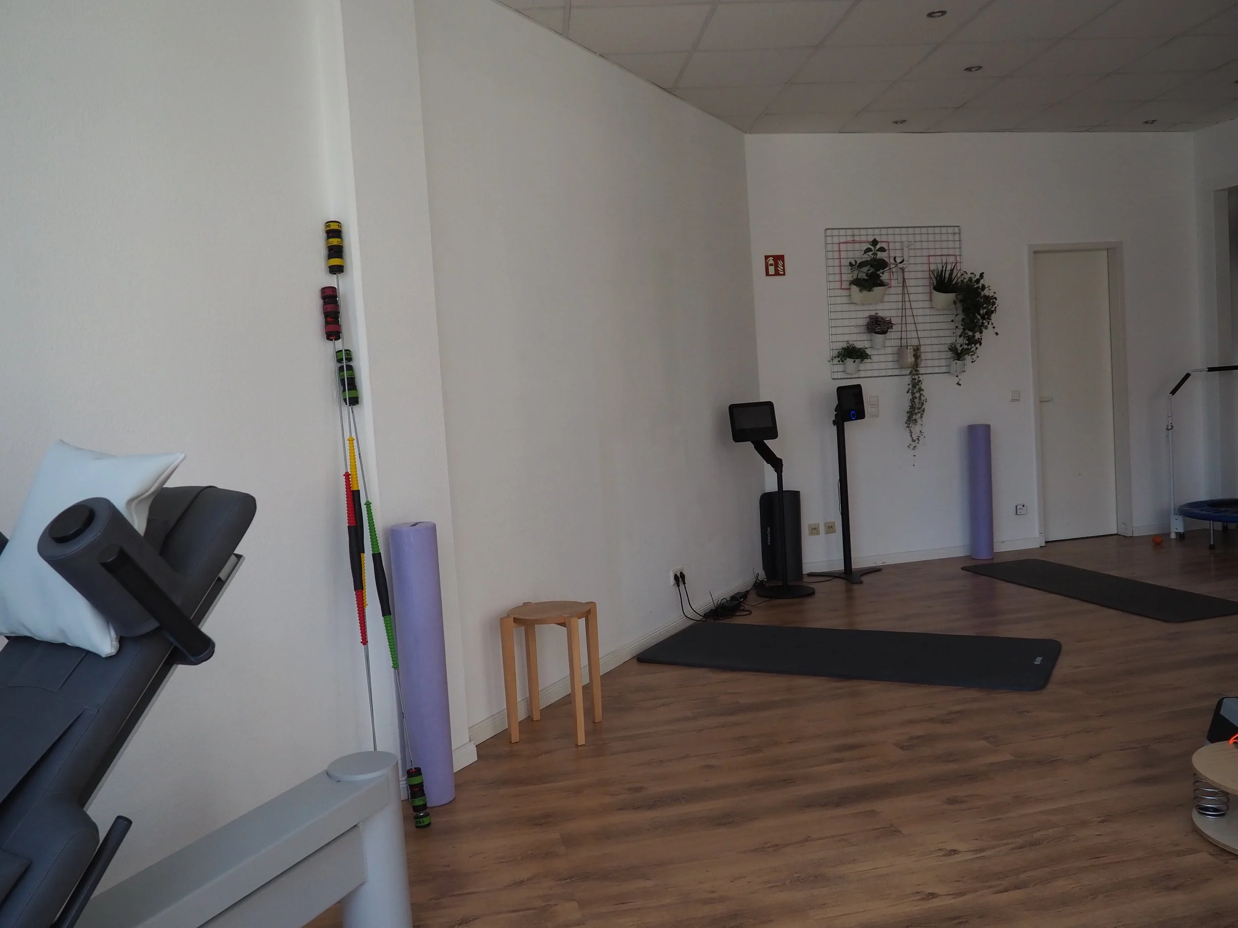 Fitnessraum mit Yoga-Matten, Trainingsgeräten, Zylindern und Wanddekoration aus Pflanzen.