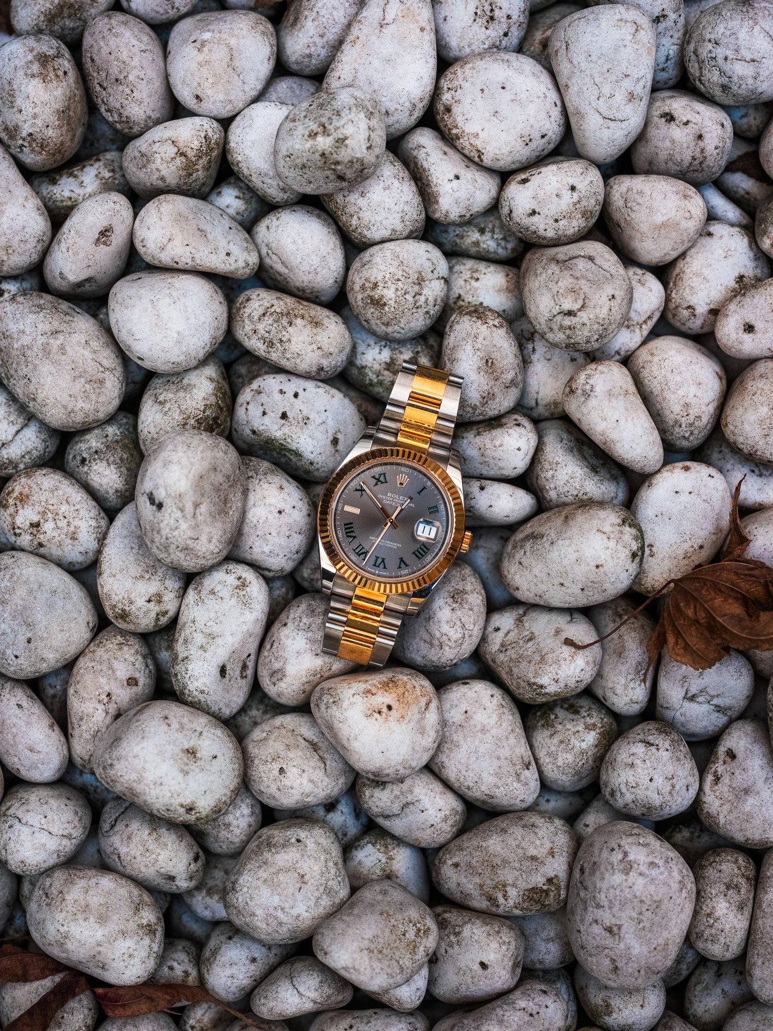 A Rolex wristwatch with a gray dial and two-tone band lying on white rocks, with dried leaves nearby.