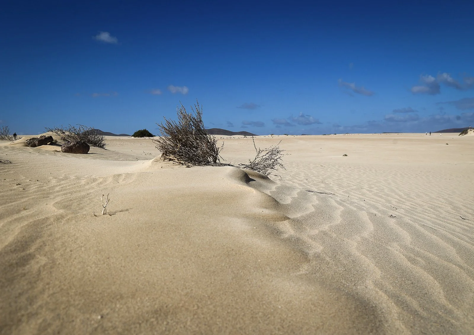 Parque Natural de Corralejo, Fuerteventura Photography