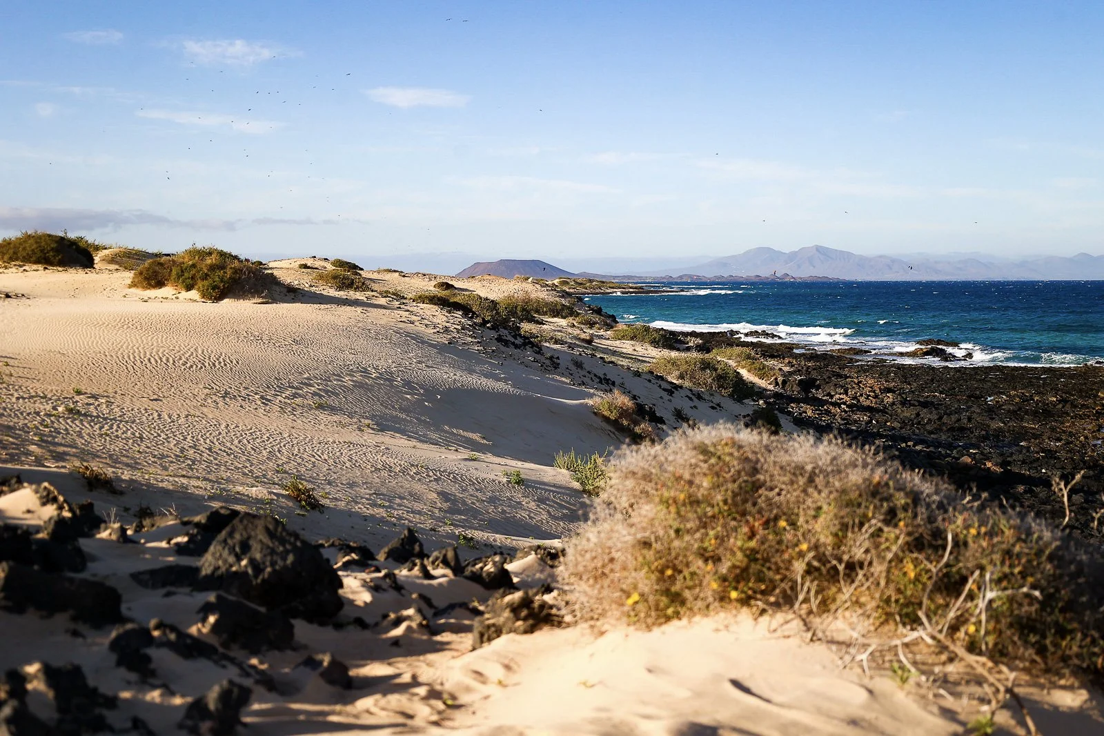 Playa la Dunas Corralejo, Sand, Fuerteventura Photography