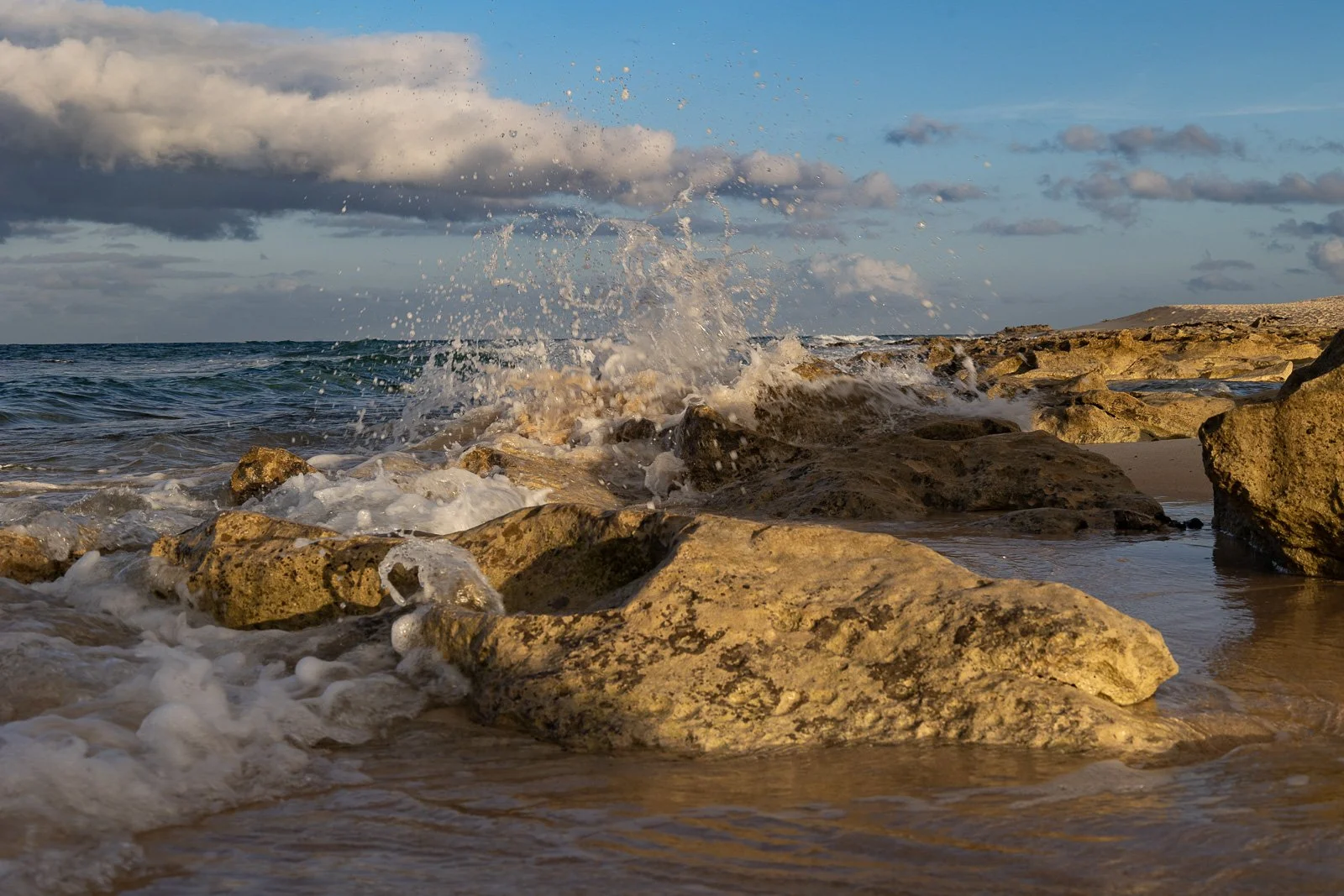Playa la Dunas, primavera, Fuerteventura.jpg