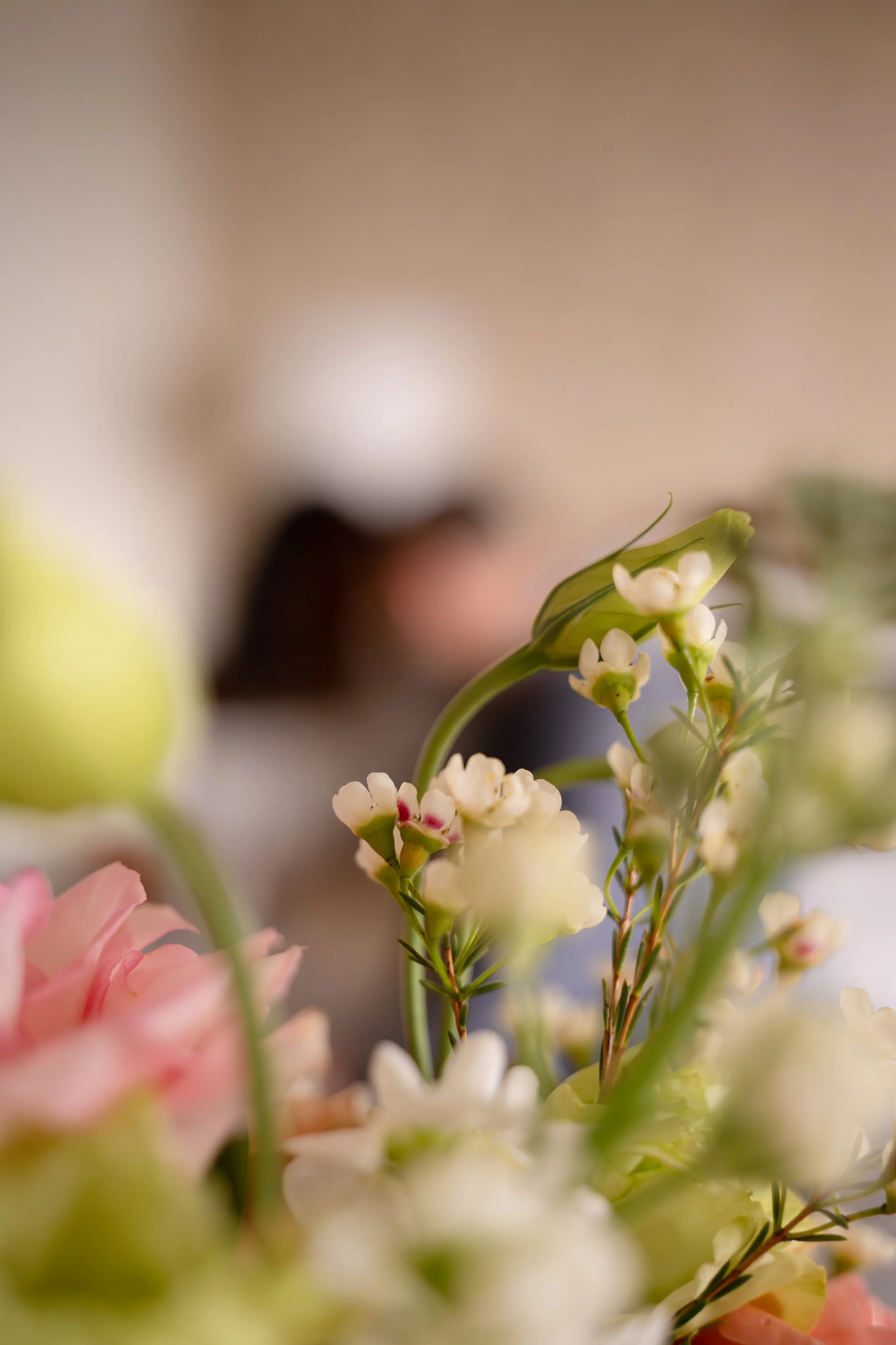 Close-up of small white and pink flowers in the foreground with blurred background in Houston The Ruby Postnatal hotel.