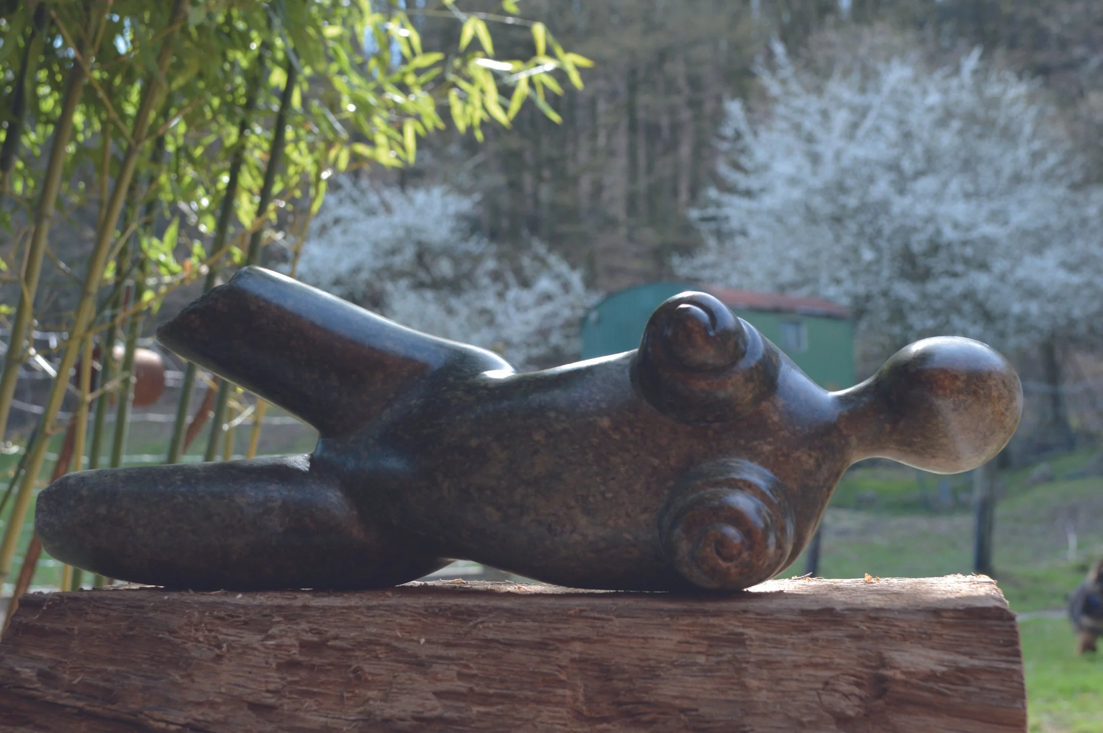 25 Babette Apollonia Nowaschewski