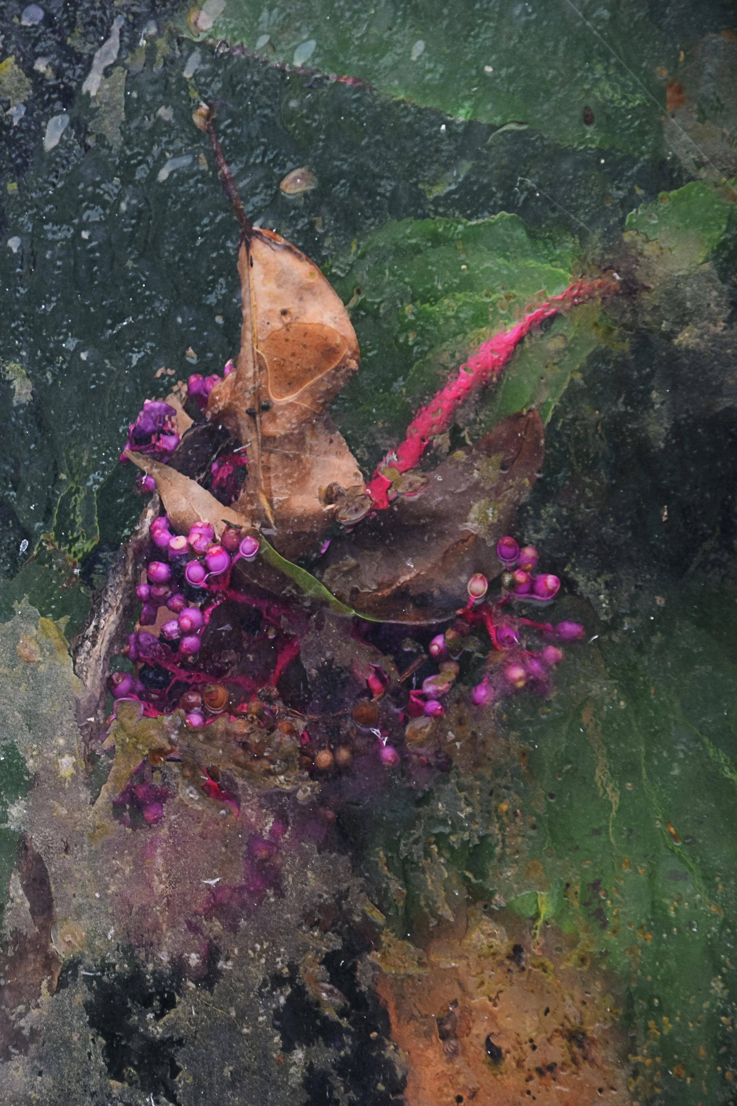 11 Fotogruppe Acht/8