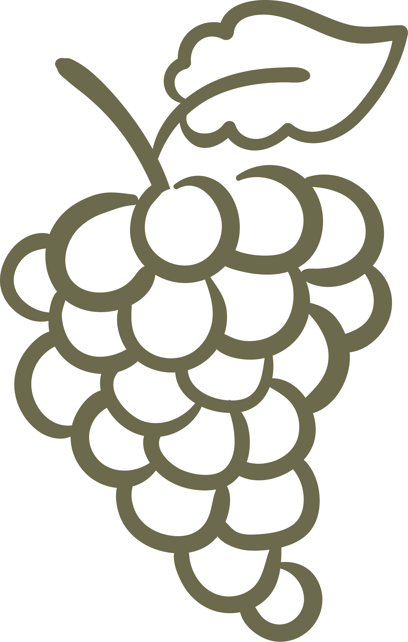 hand harvested wine