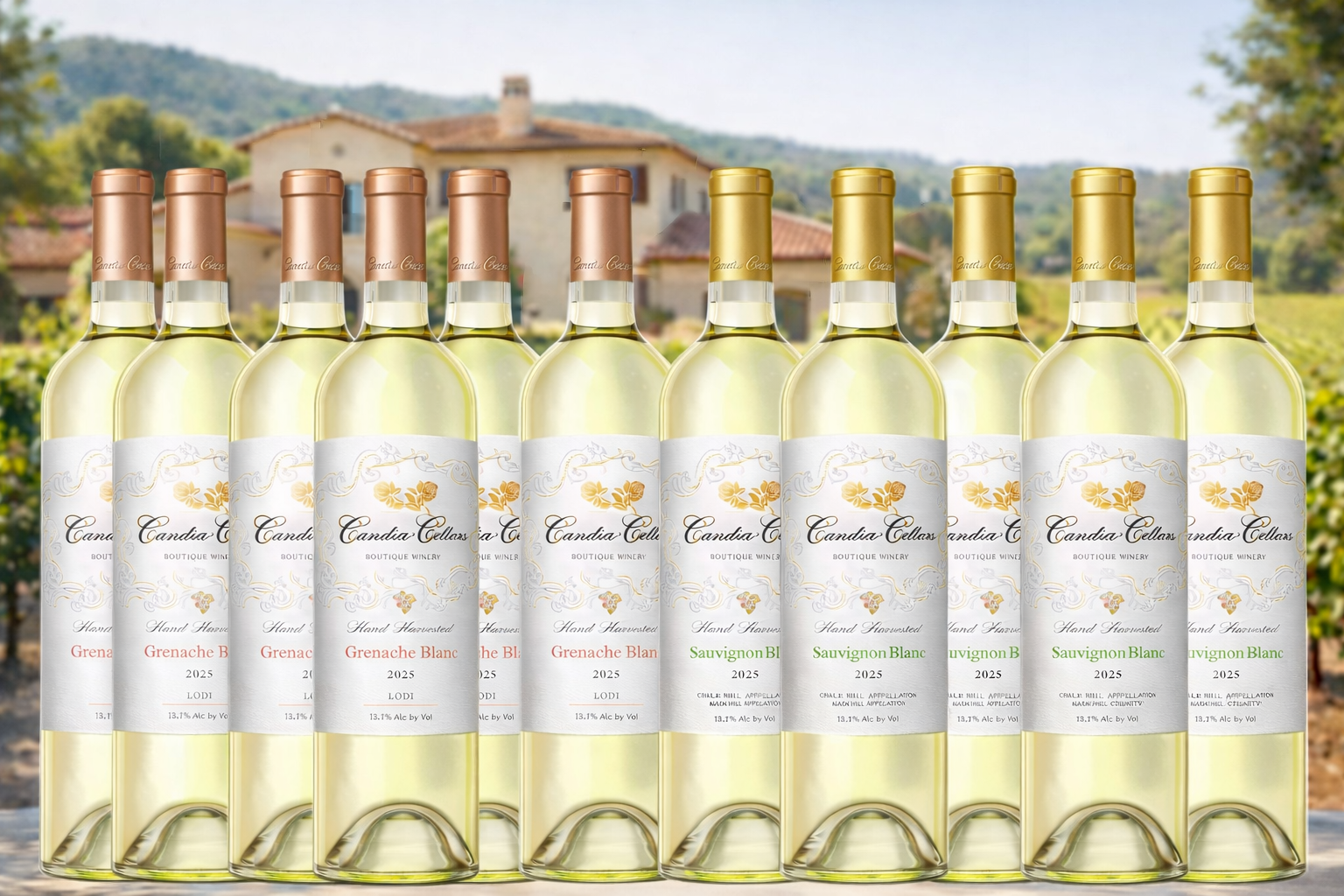 A row of ten bottles of white wine with labels for Candia Cellars, including Grenache Blanc and Sauvignon Blanc, set outdoors with a house and vineyards in the background.
