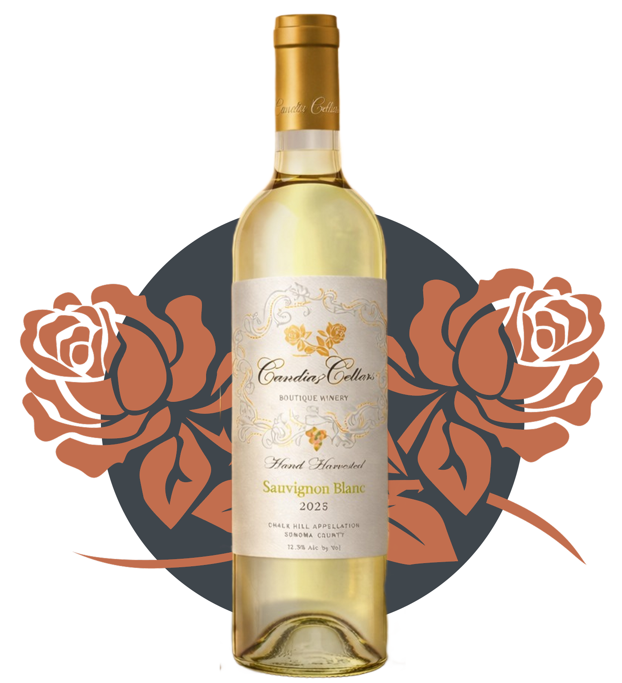 Candia-cellar-wine-sale-wine-tasting