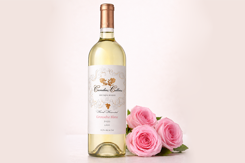 2025 Grenache Blanc - Lodi