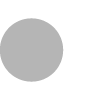 Gray circle on a white background