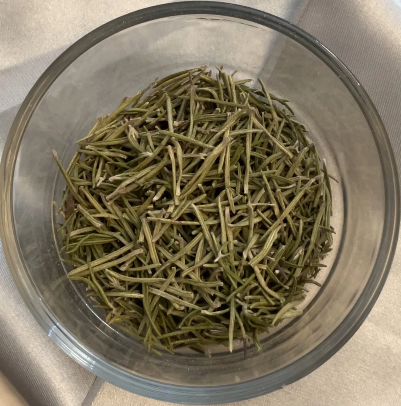 Rosemary (Salvia rosmarinus)