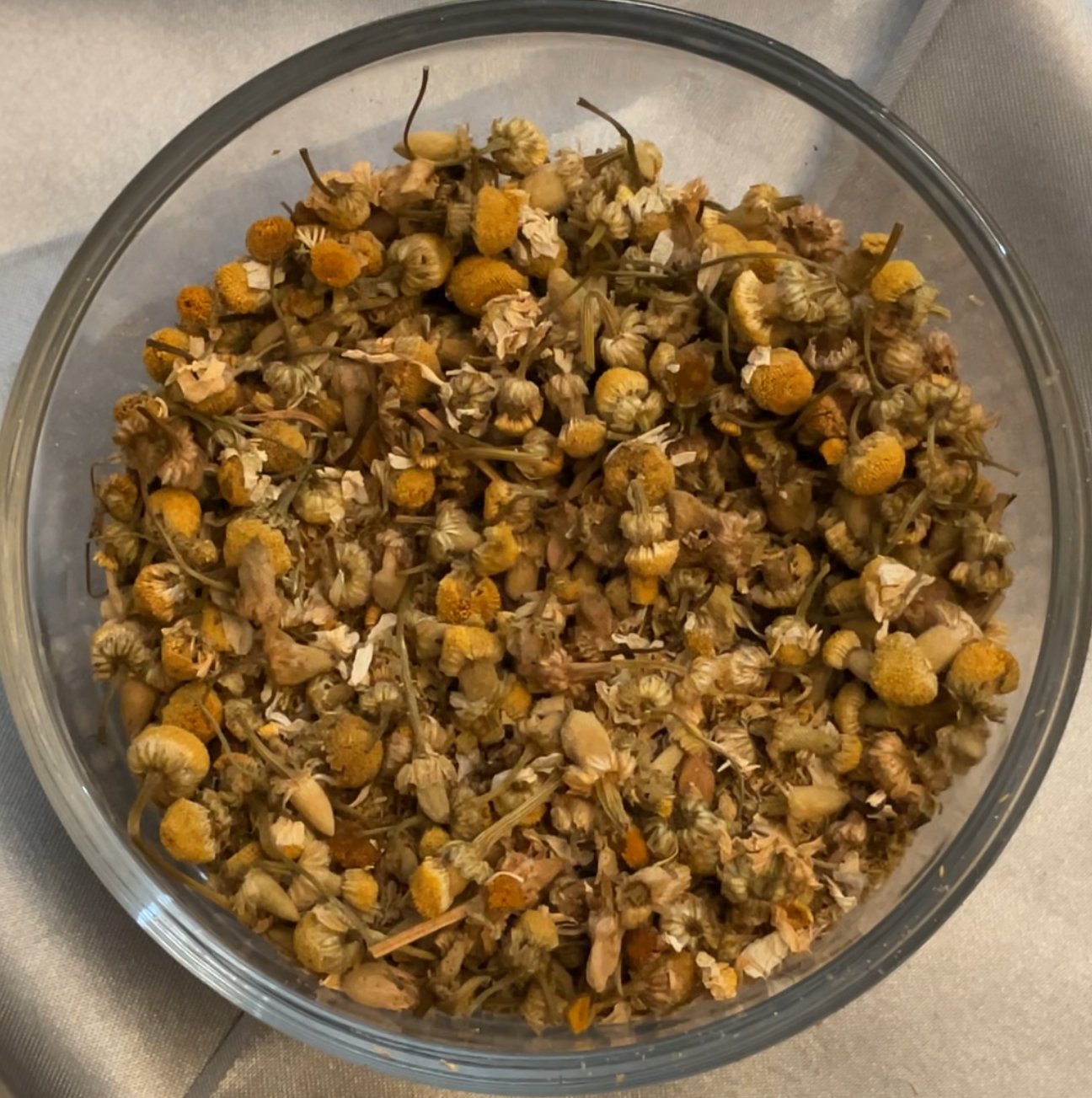 Chamomile - German (Matricaria recutita)