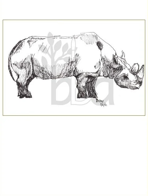 Black Rhino