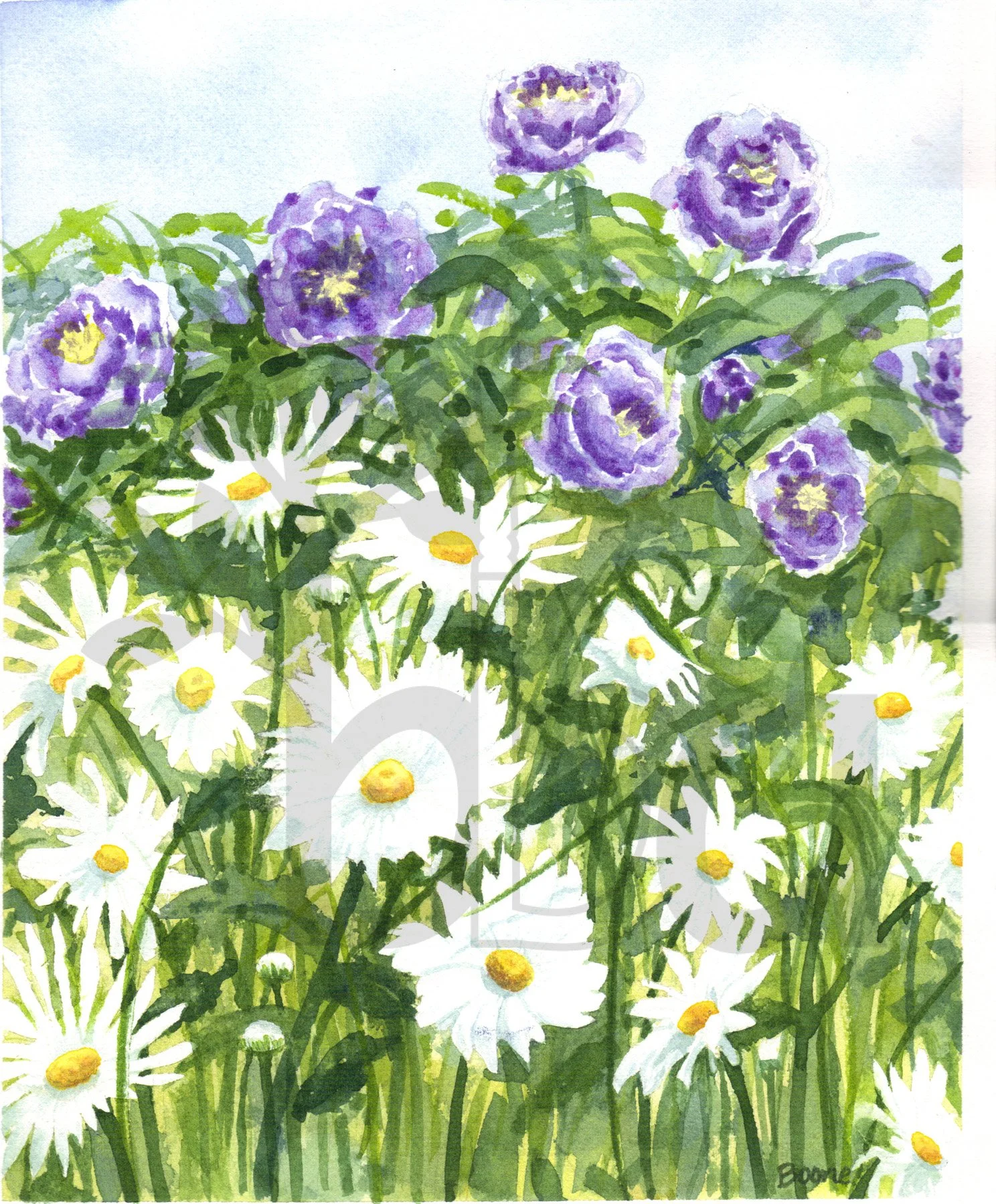 Daisies and Peonies 2