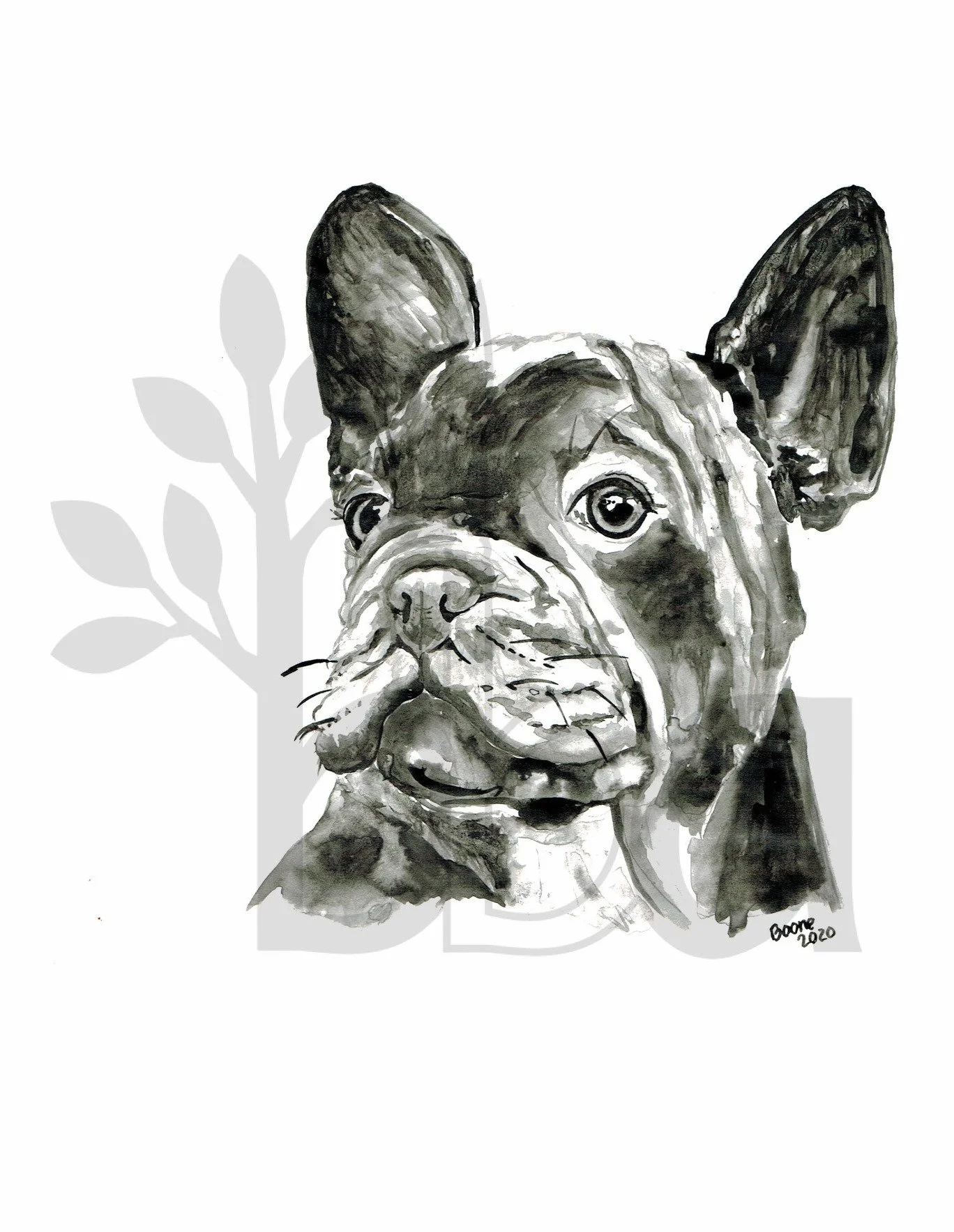 French Bulldog