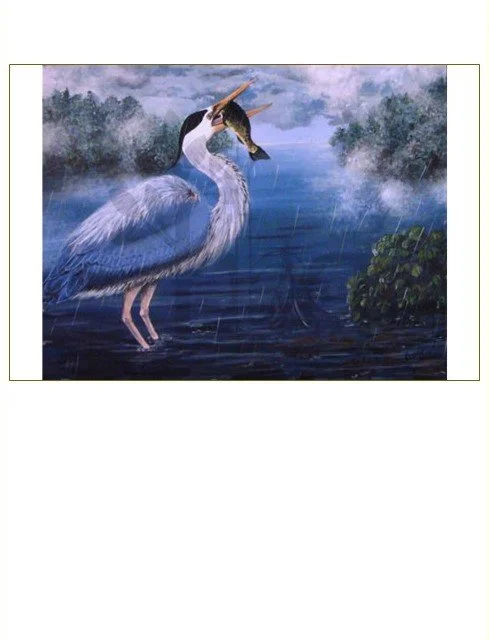 Great Blue Heron in the Rain