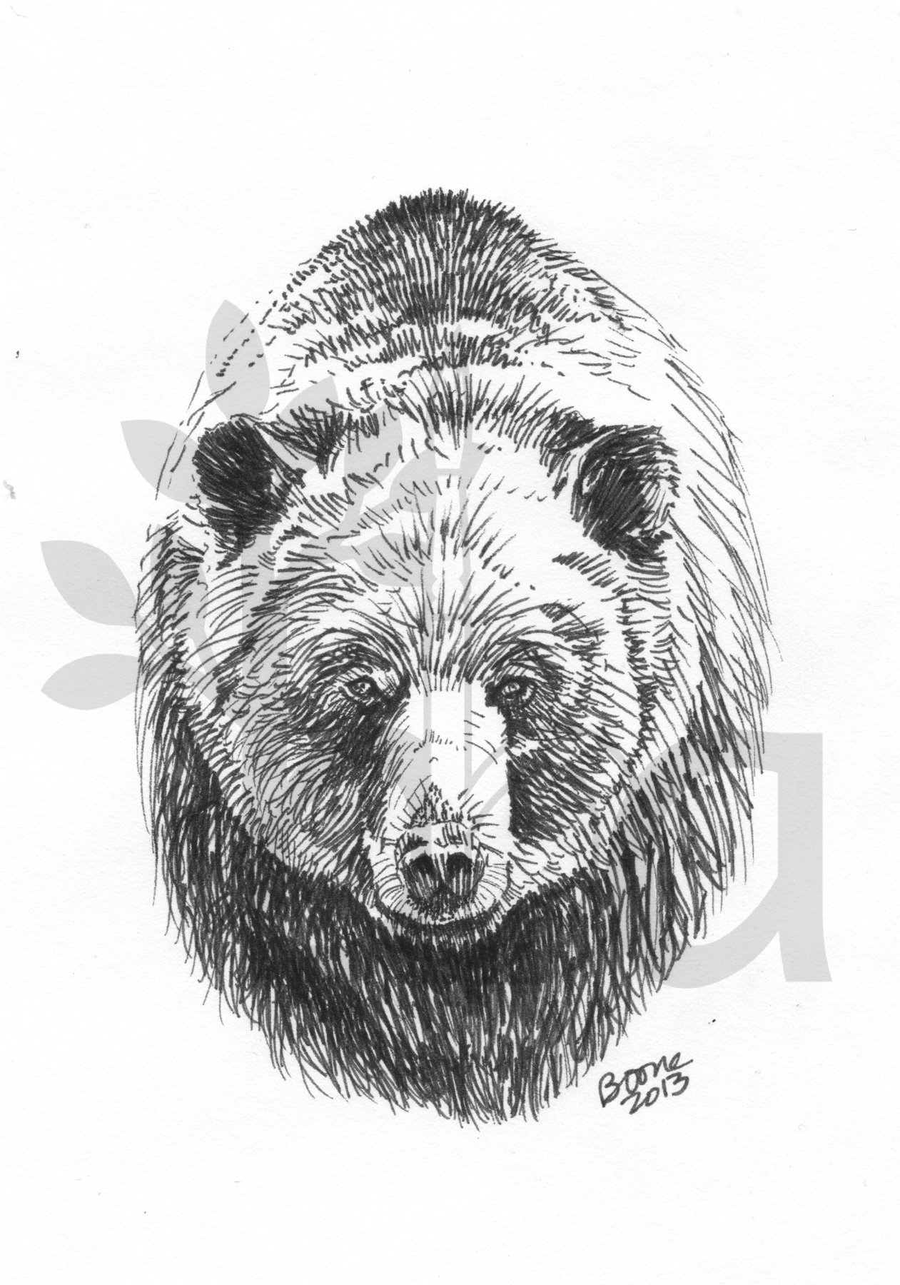 Grizzly 2